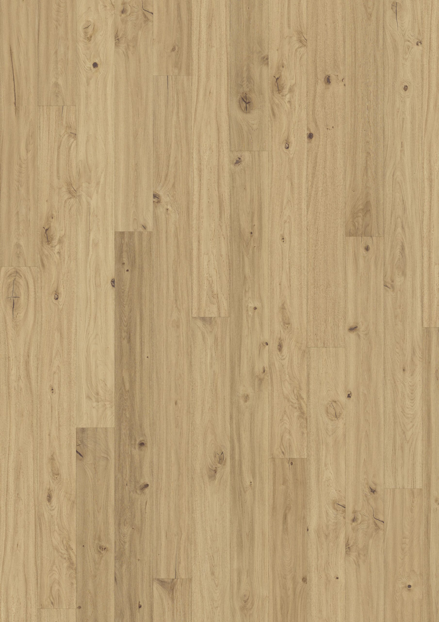 Roble Klinta