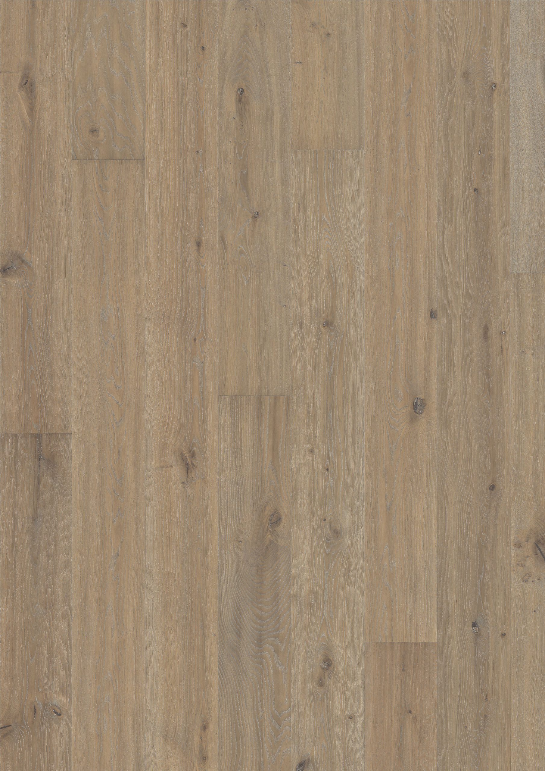Roble Möre