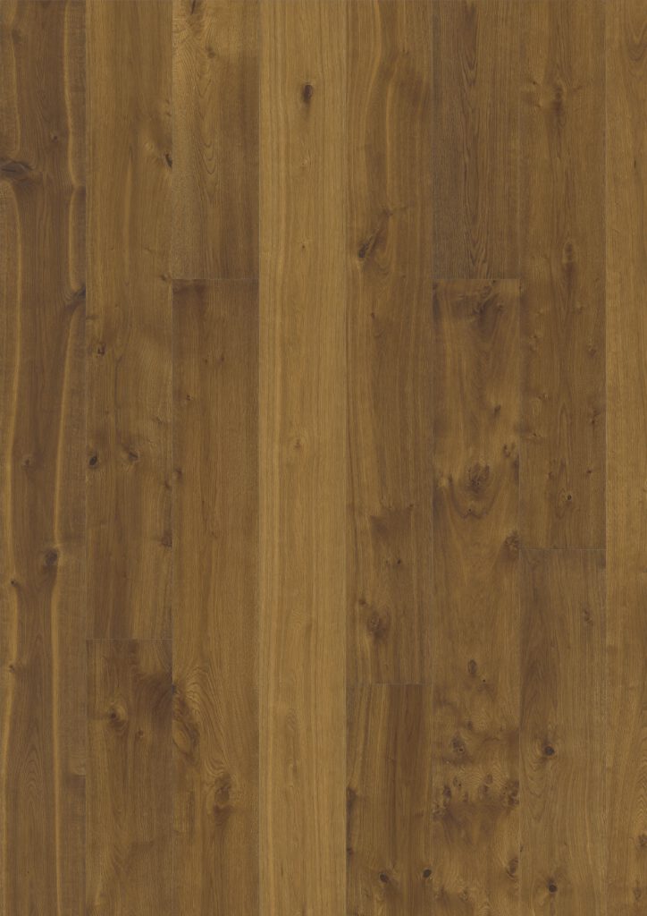 Roble Sevede