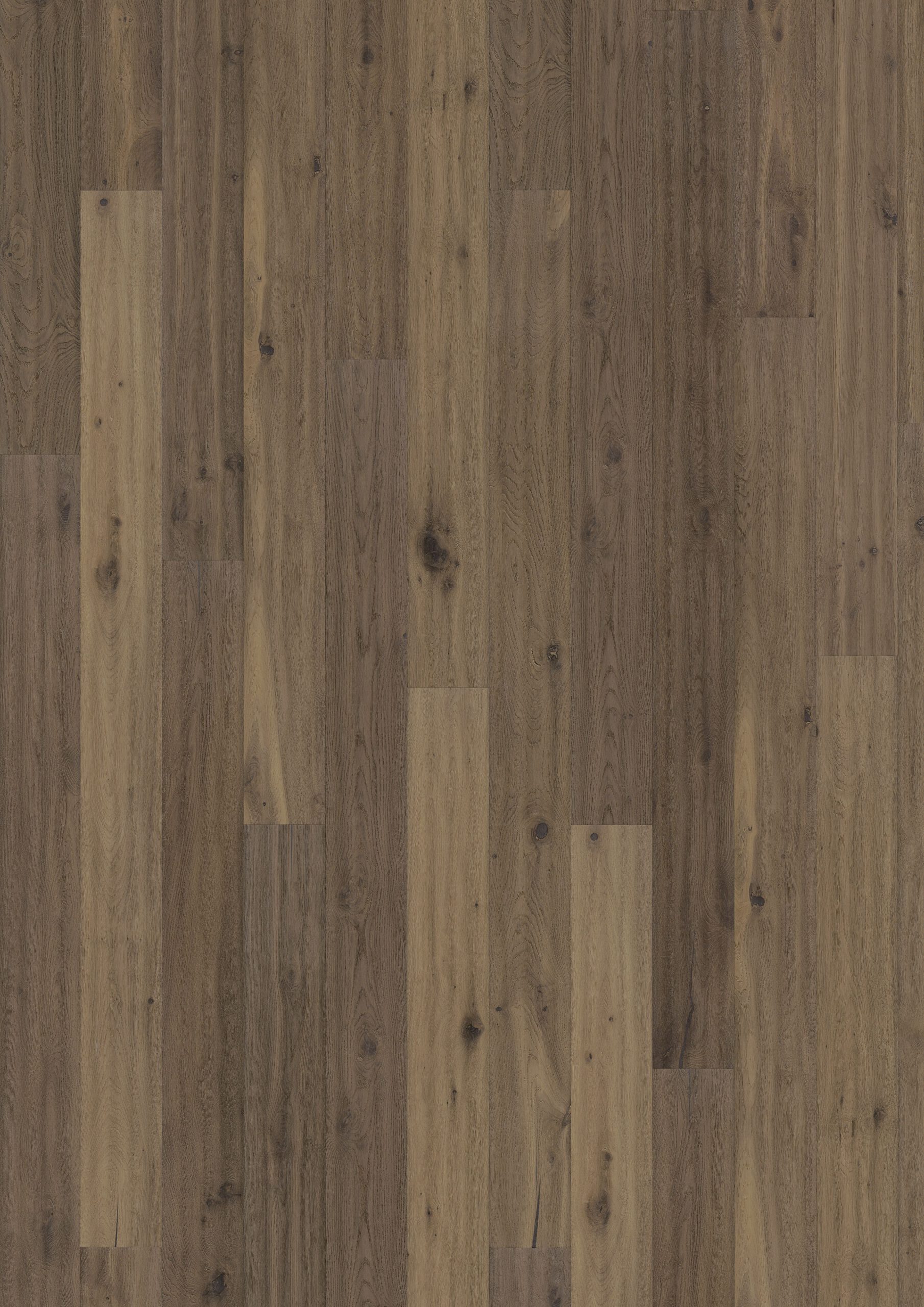 Roble Ydre
