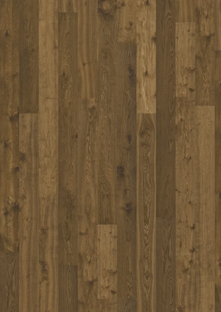 Roble Terra