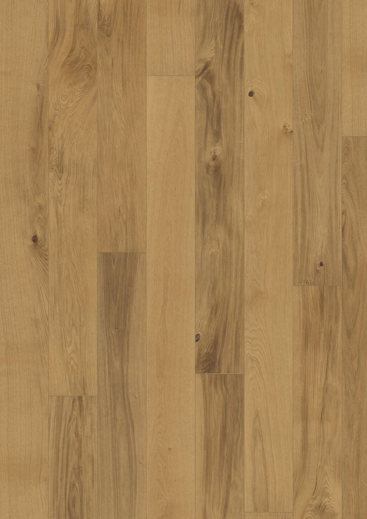 Roble Burgundy