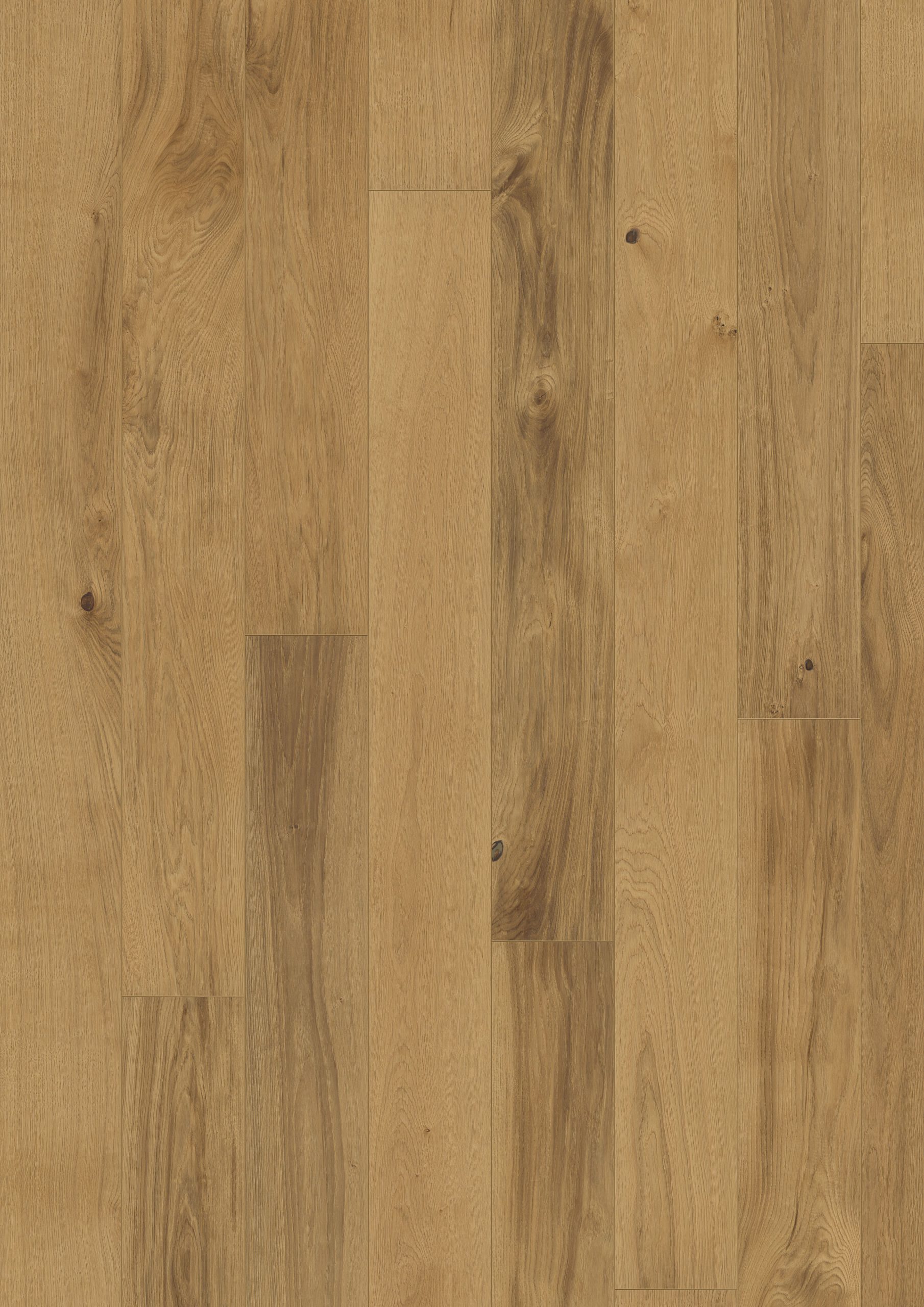 Roble Burgundy