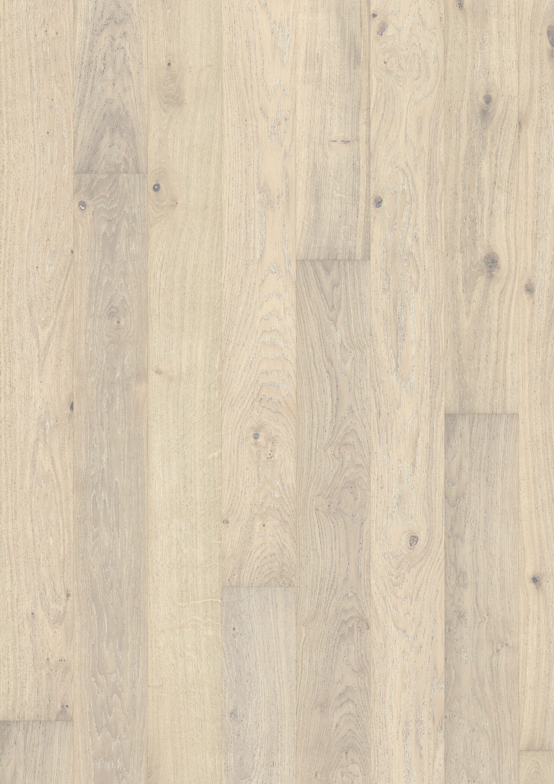 Roble Nouveau Blonde