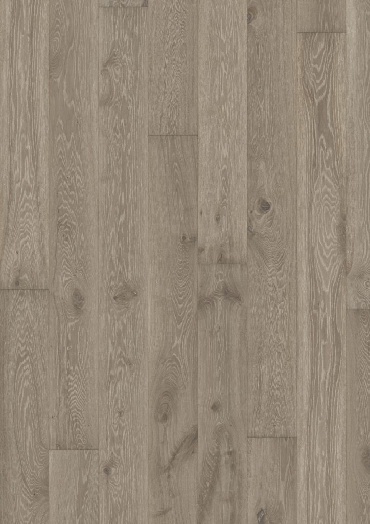 Roble Nouveau Gray