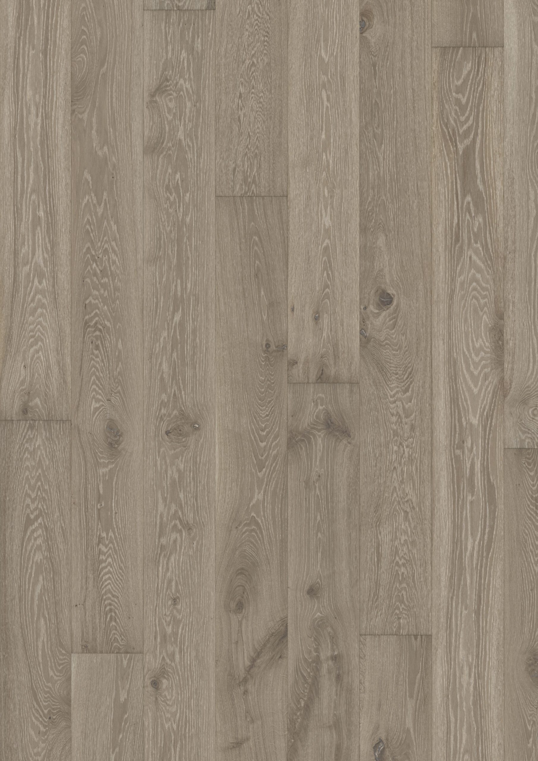 Roble Nouveau Gray