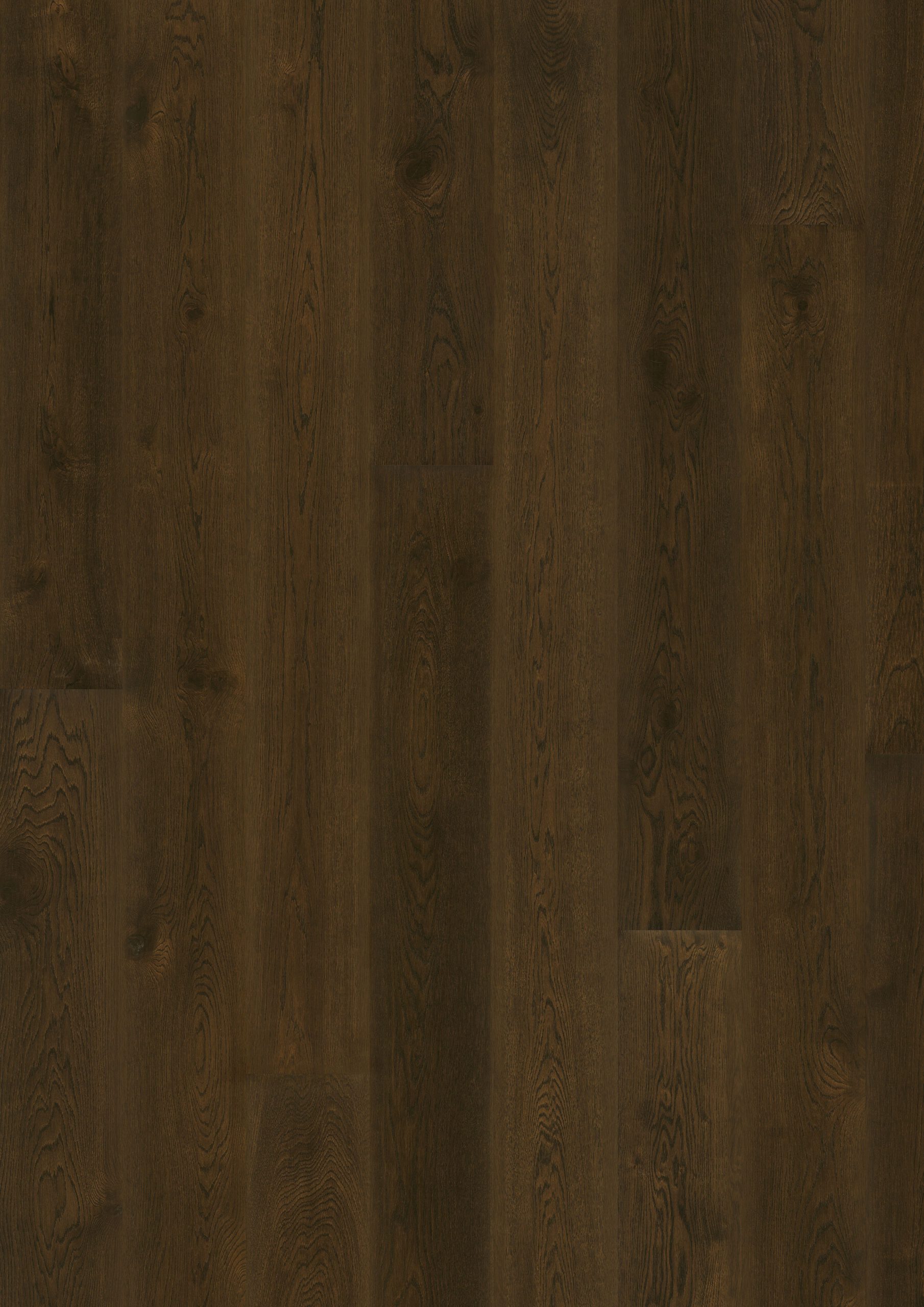 Roble Nouveau Tawny