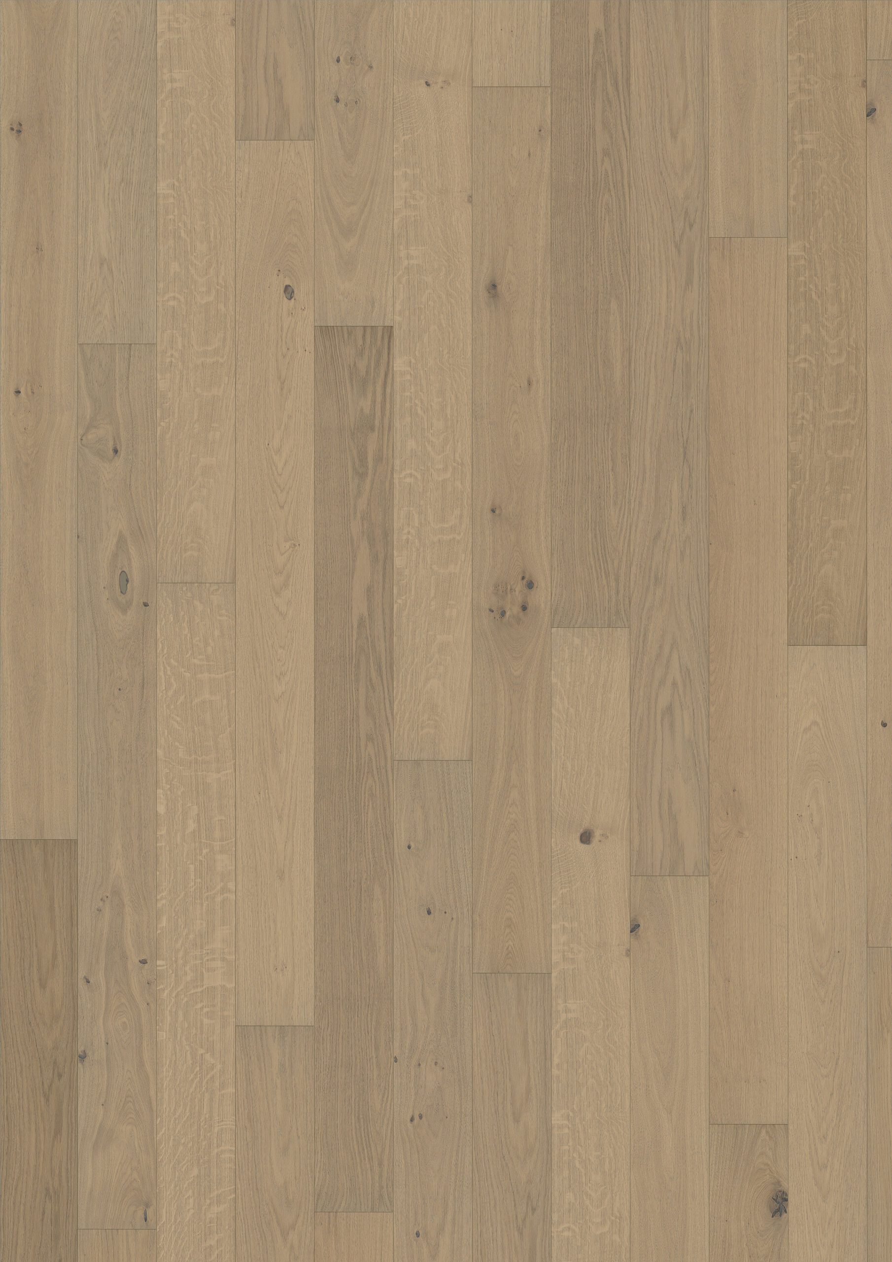 Roble Nouveau White