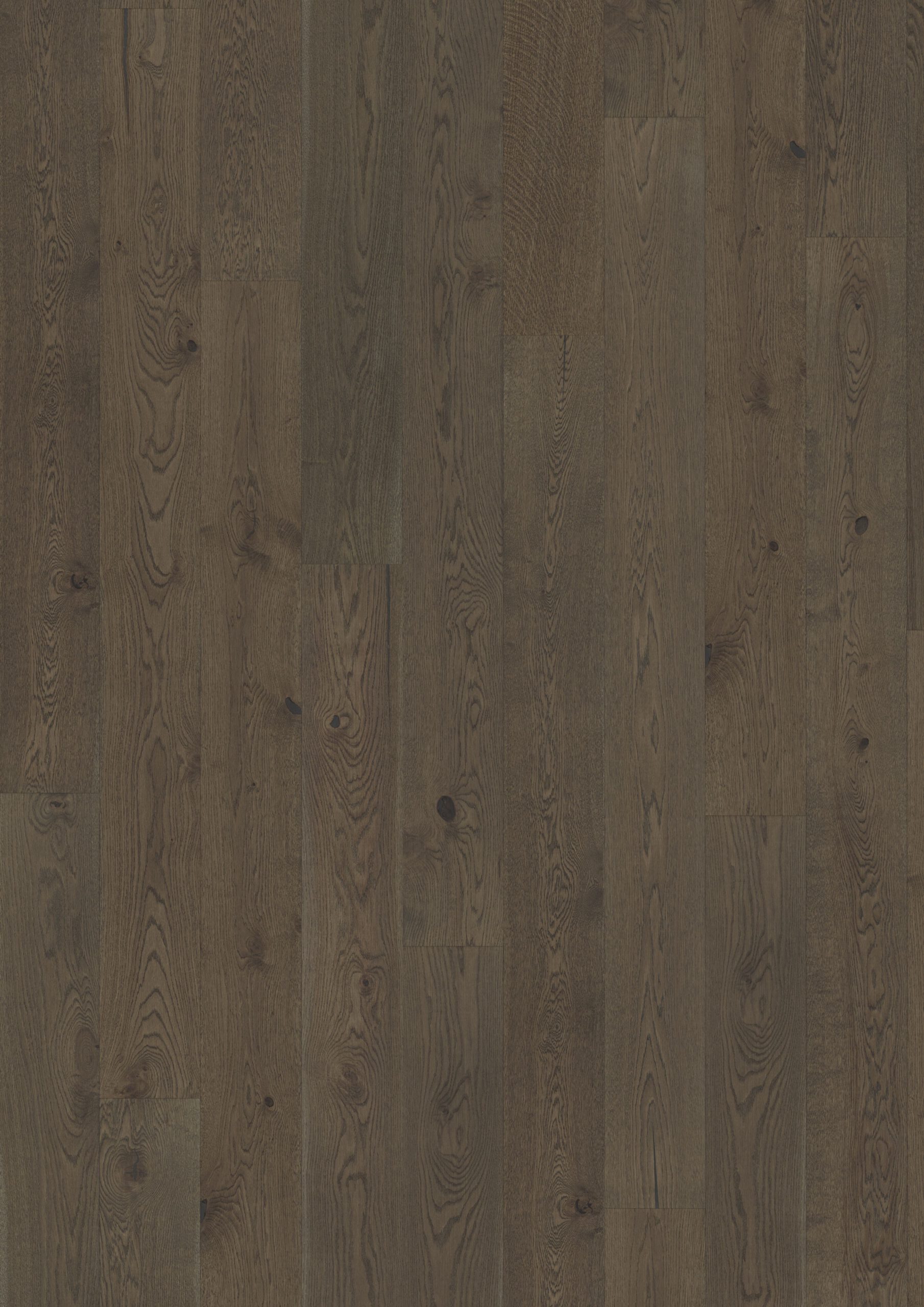 Roble Charcoal Light Plank - Fotografía Principal Kährs