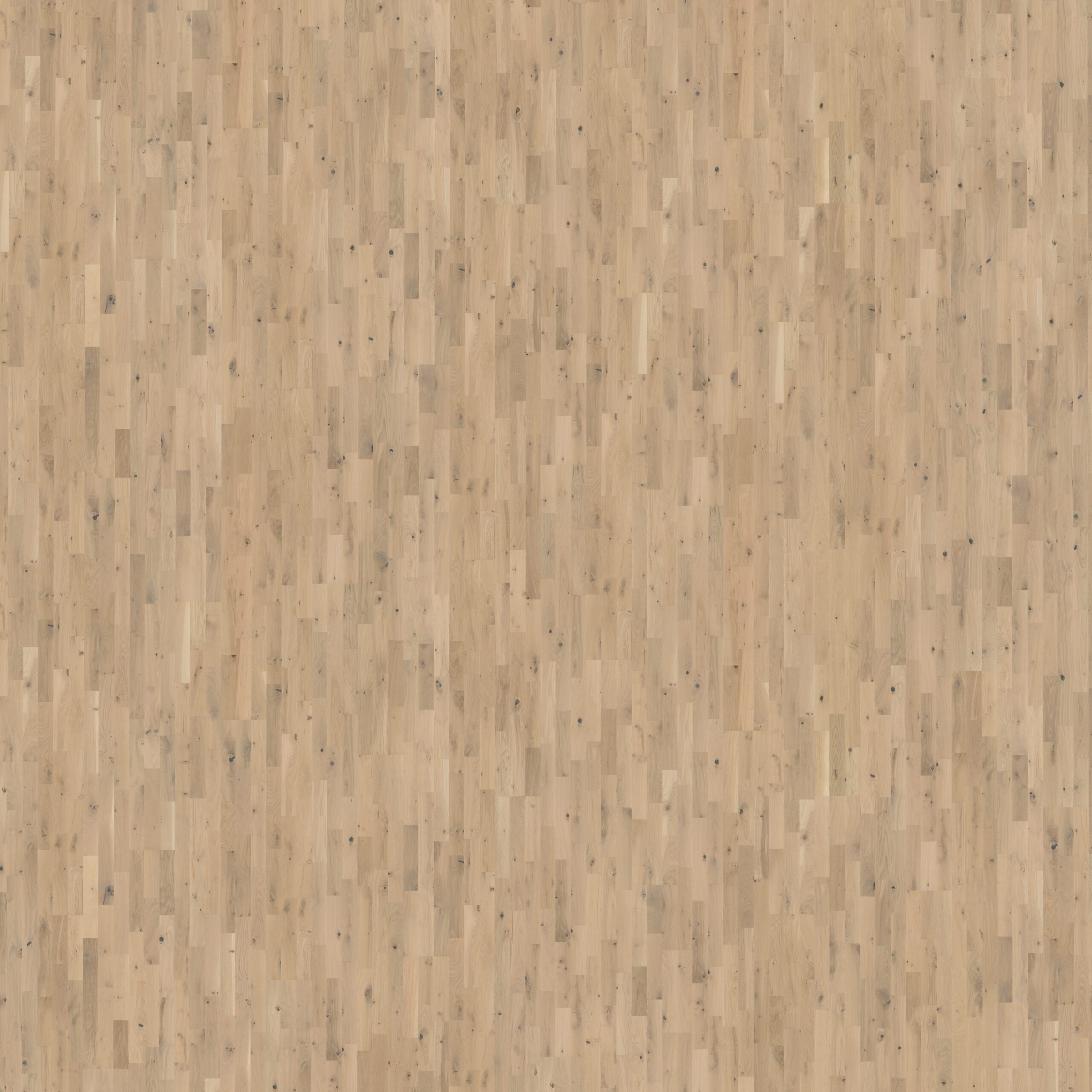 Roble Frosted Oat Strip - Detalle Lama y Textura 4