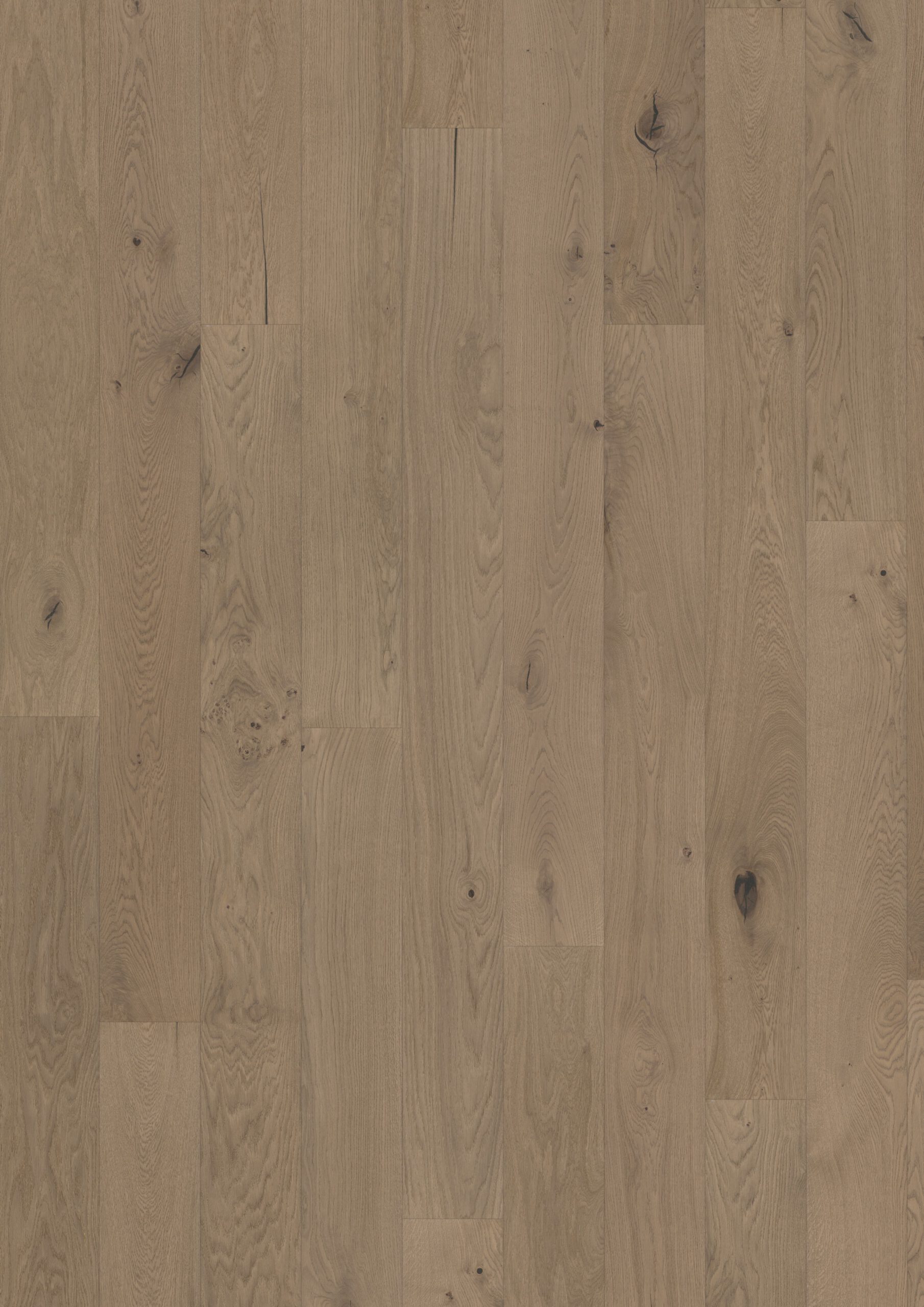 Roble Frozen Hazelnut Plank