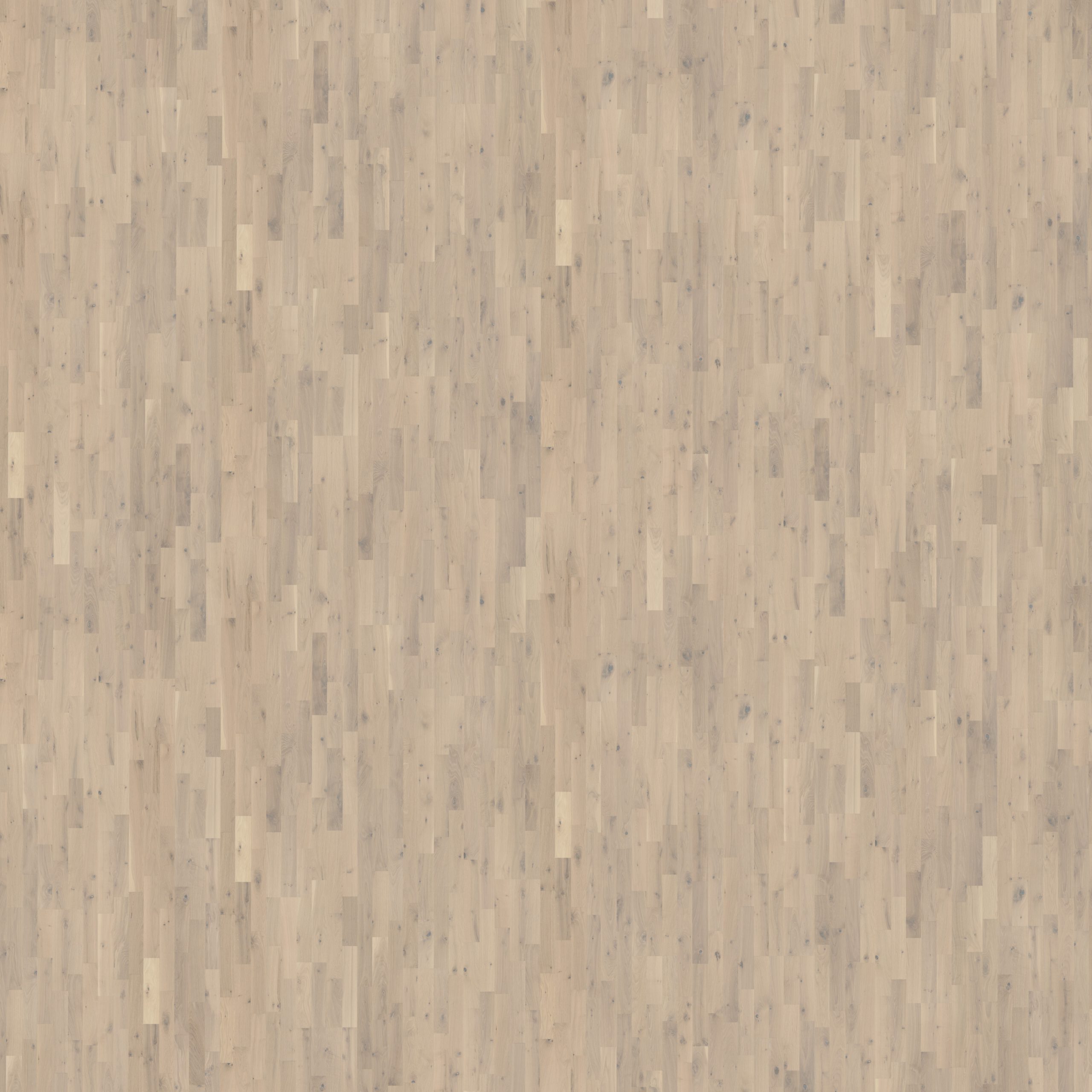 Roble Loft White Strip - Detalle Lama y Textura 4