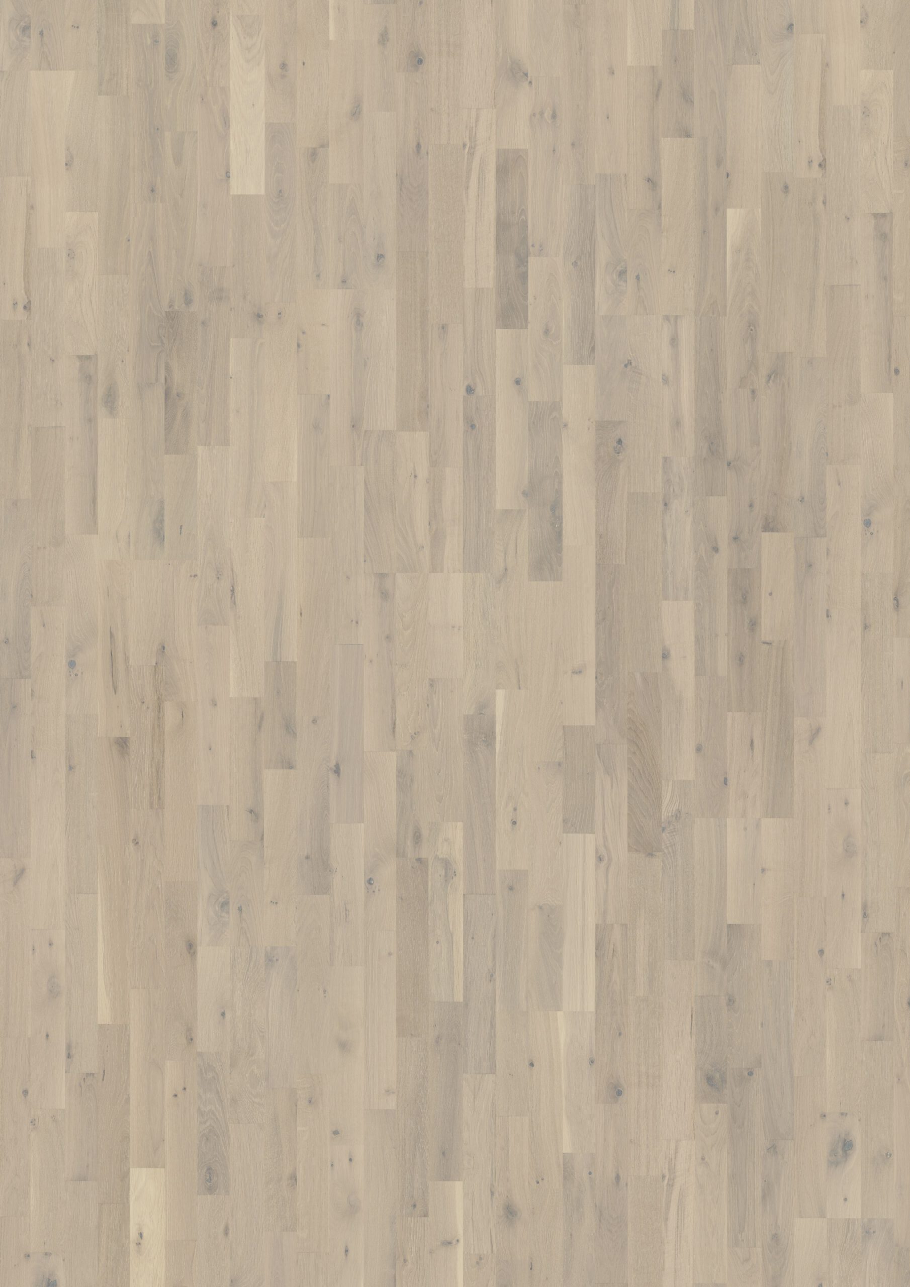 Roble Loft White Strip