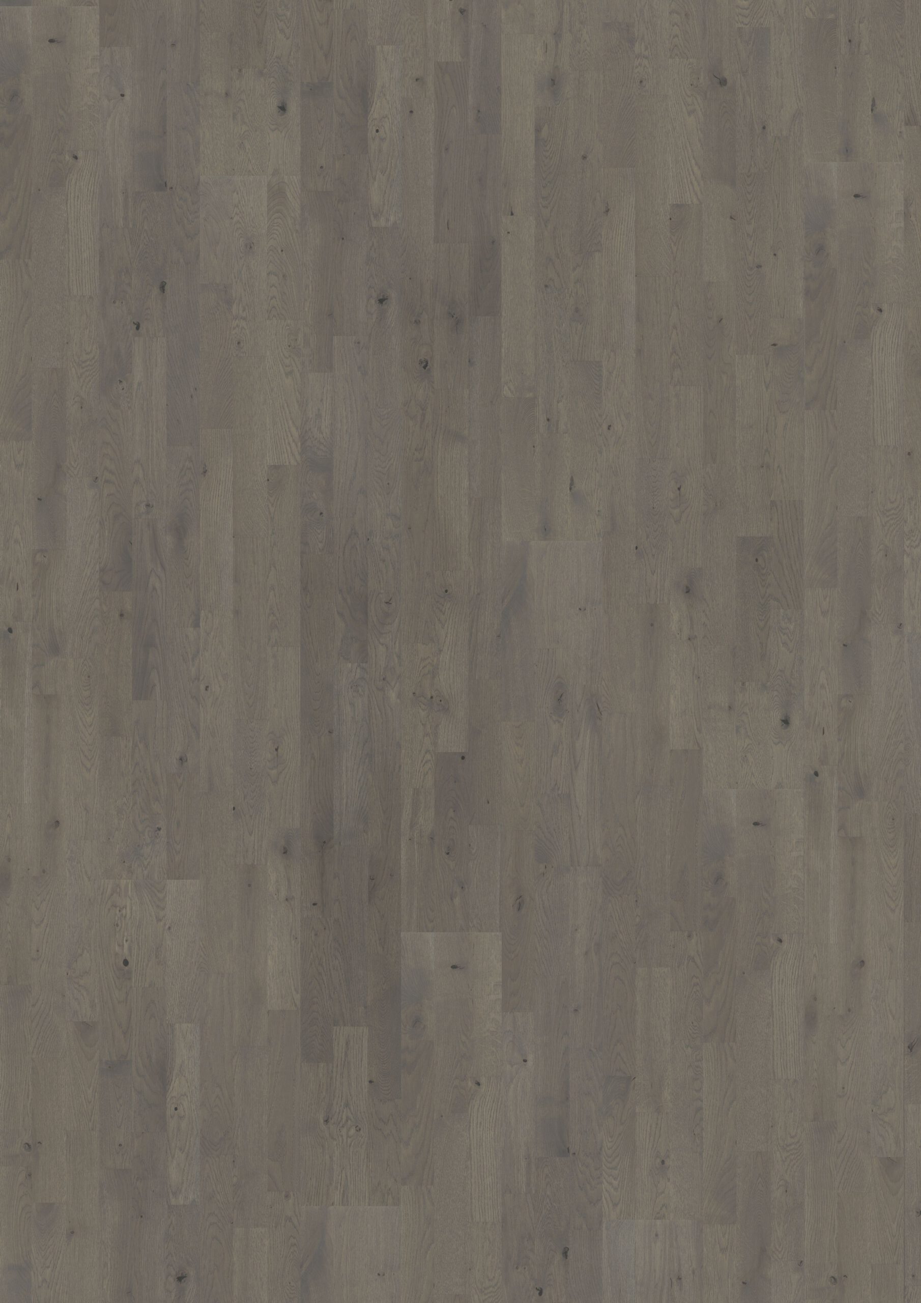 Roble Pearl Grey Strip