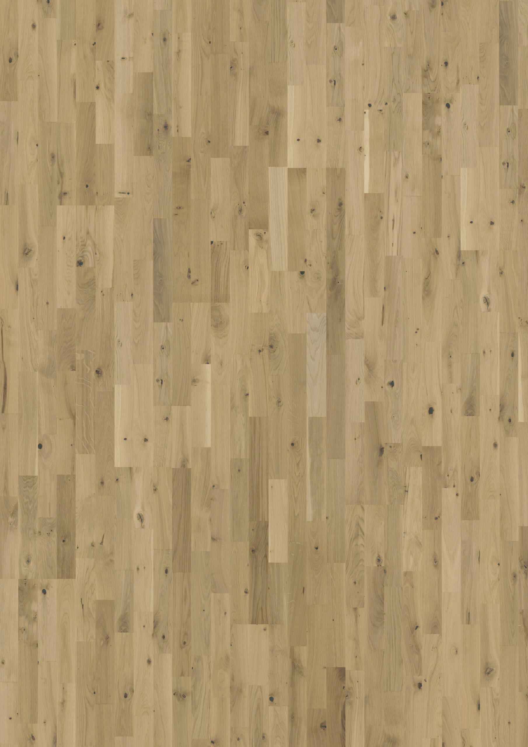Roble Urban Brown Strip