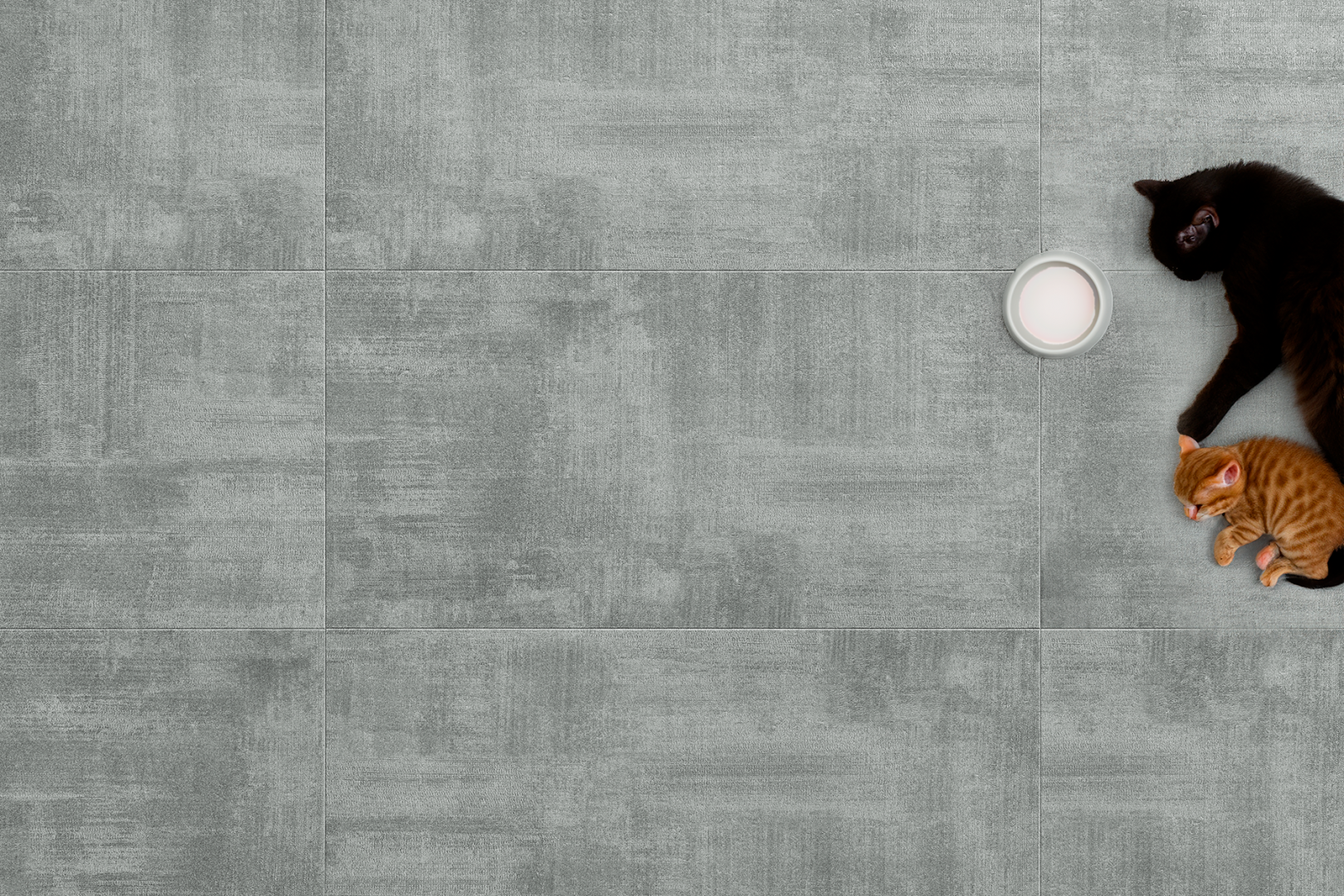 - Detalle de textura y ambiente 1