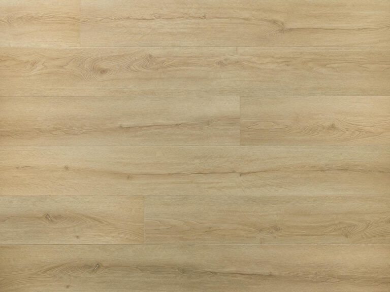  - Detalle de textura y ambiente 2