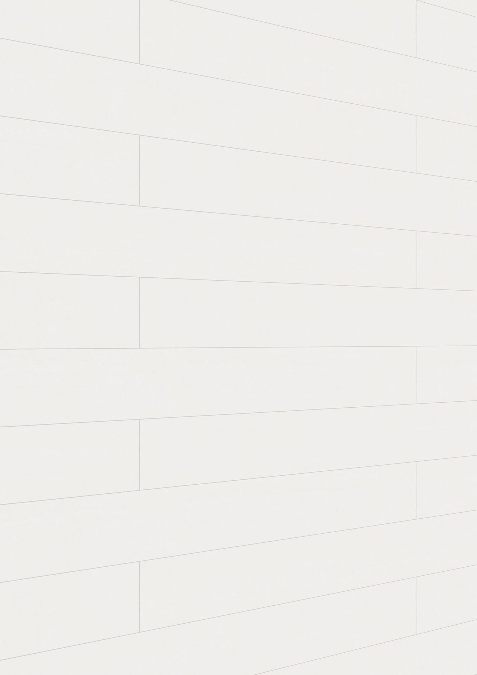 Paneles decorativos MeisterPanels. bocado DP 200 Blanco uni brillante LD 00324