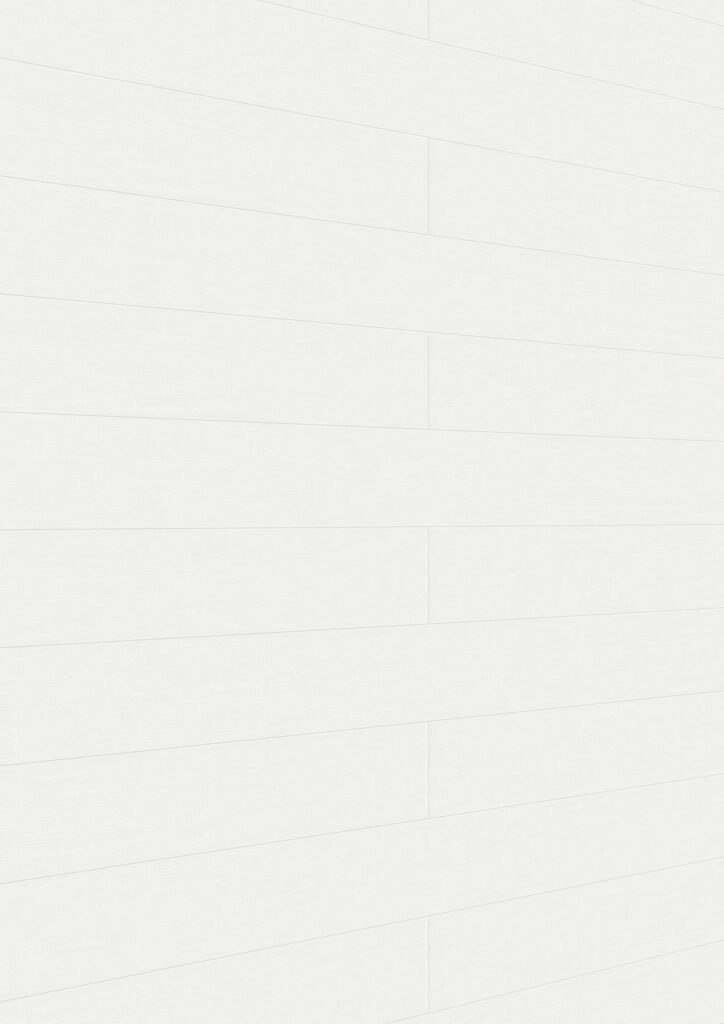 Paneles decorativos MeisterPanels. tertio DP 200 Fresno blanco alpino 00384