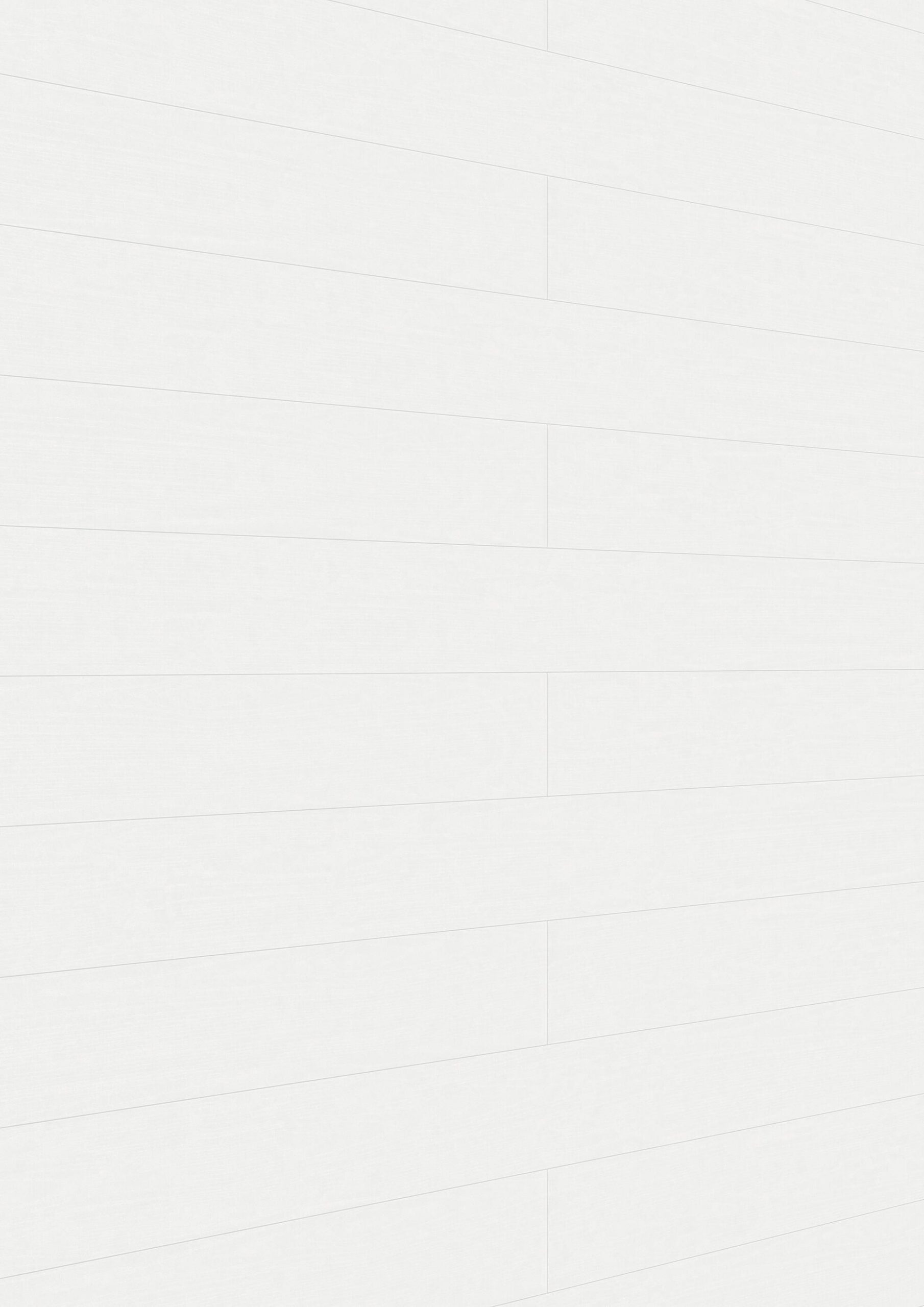 Paneles decorativos MeisterPanels. tertio DP 200 Fresno blanco alpino 00384