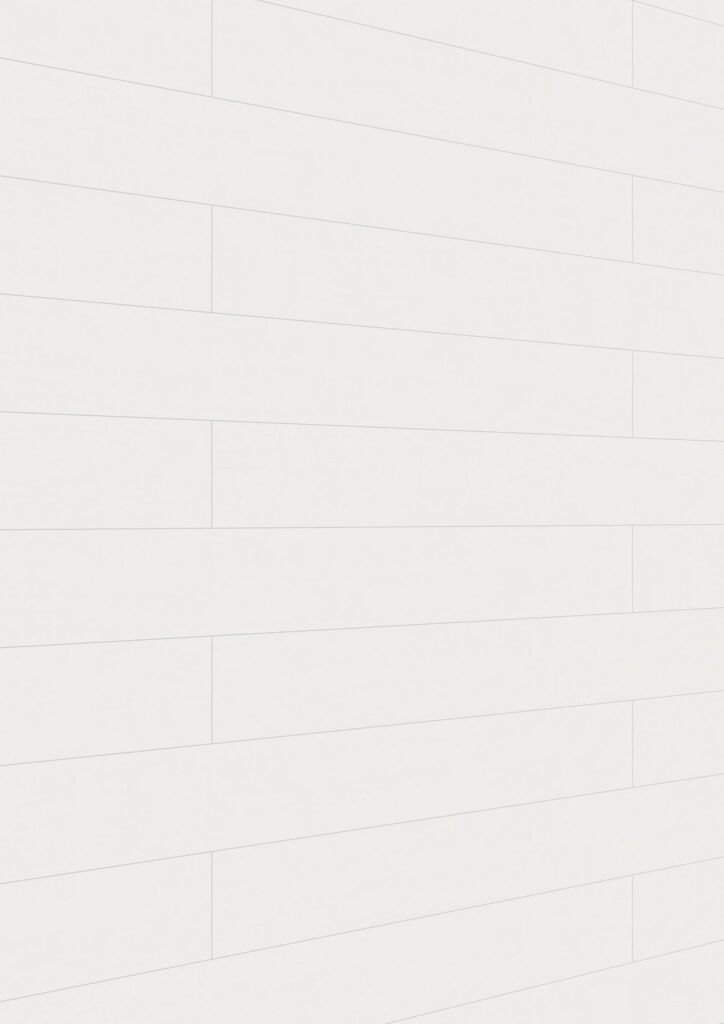 Paneles decorativos MeisterPanels. bocado DP 200 Blanco clásico 00387