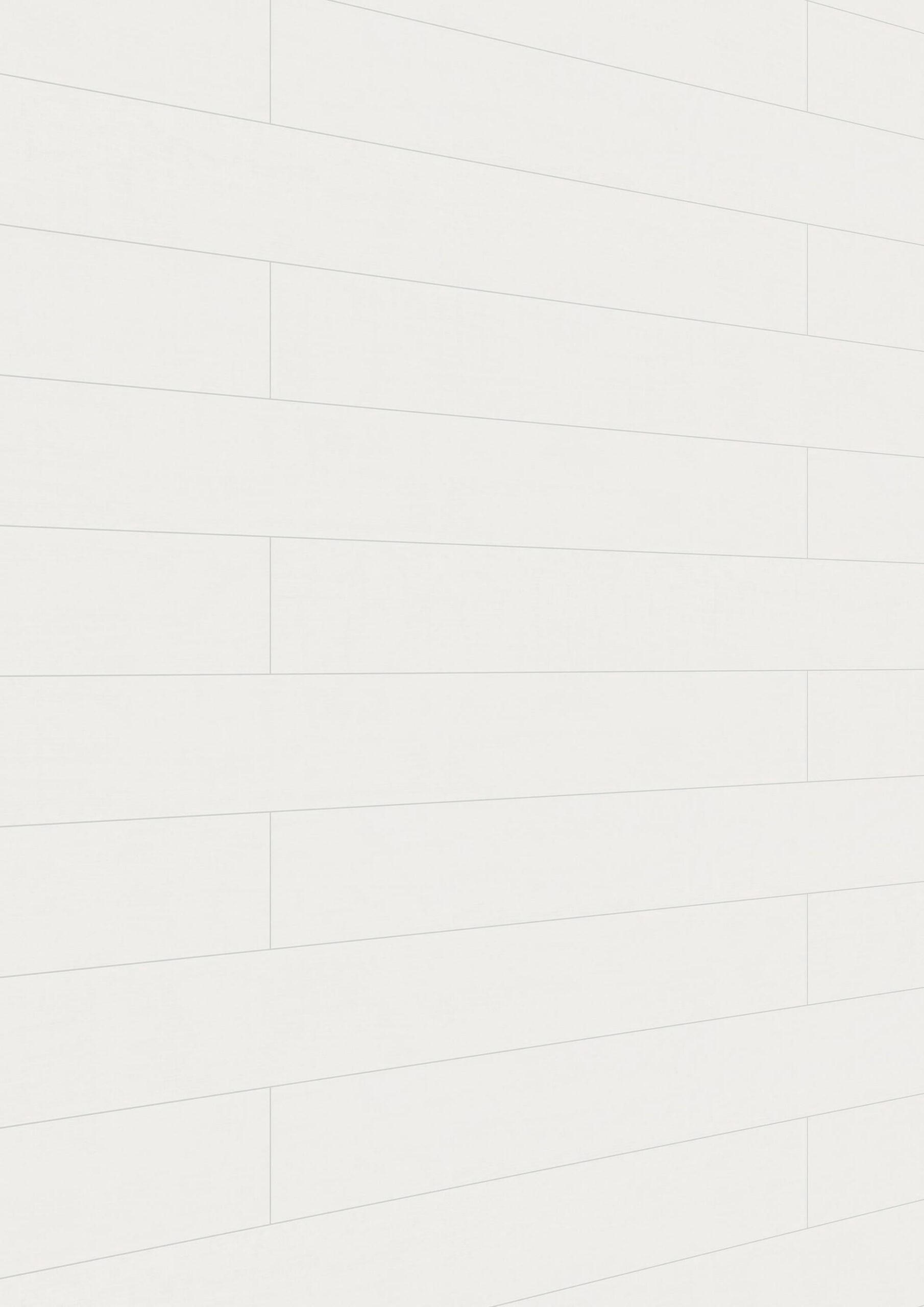 Paneles decorativos MeisterPanels. bocado DP 200 Blanco clásico 00387