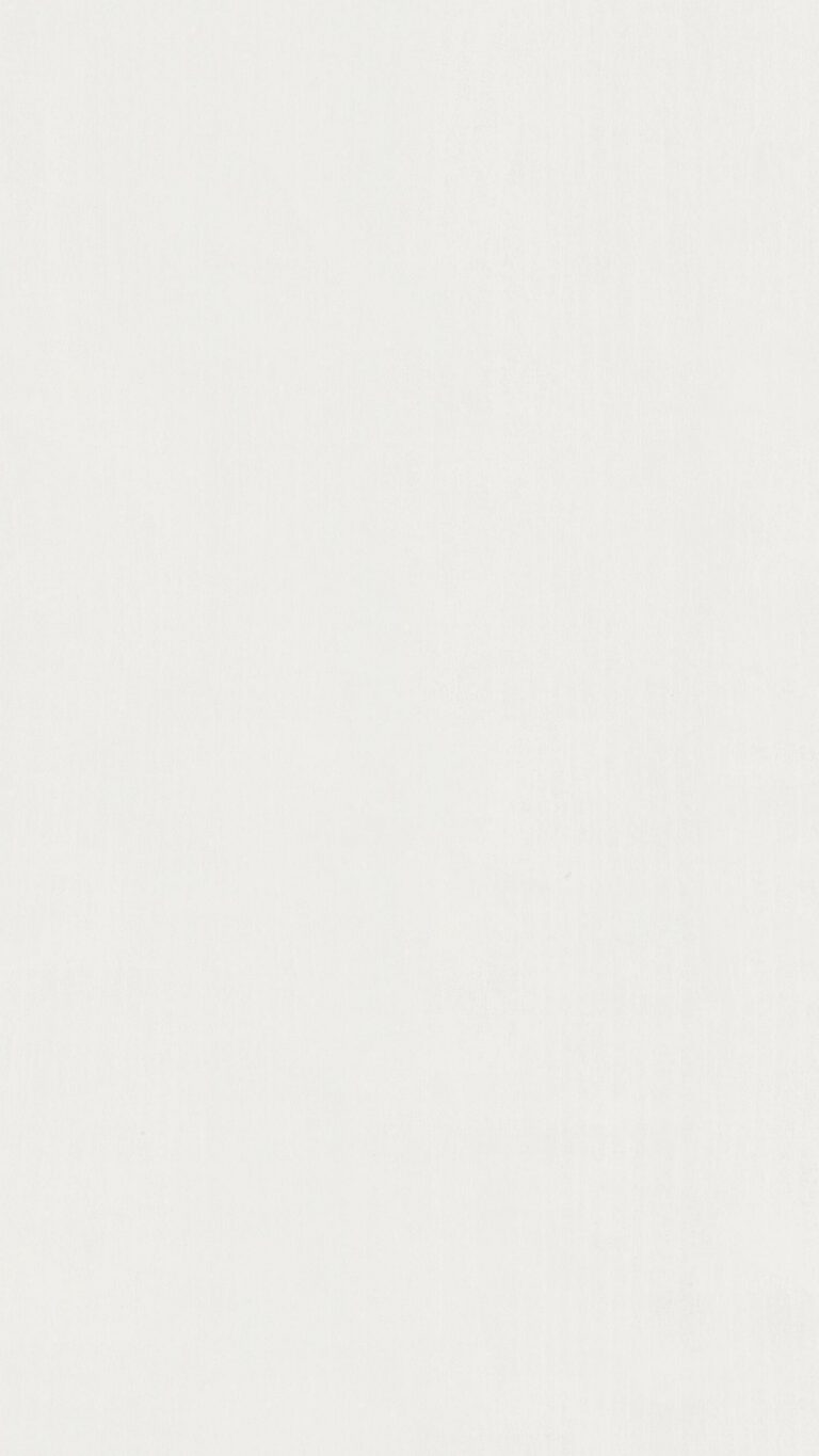 Paneles decorativos MeisterPanels. bocado DP 250 Blanco clásico 00387
