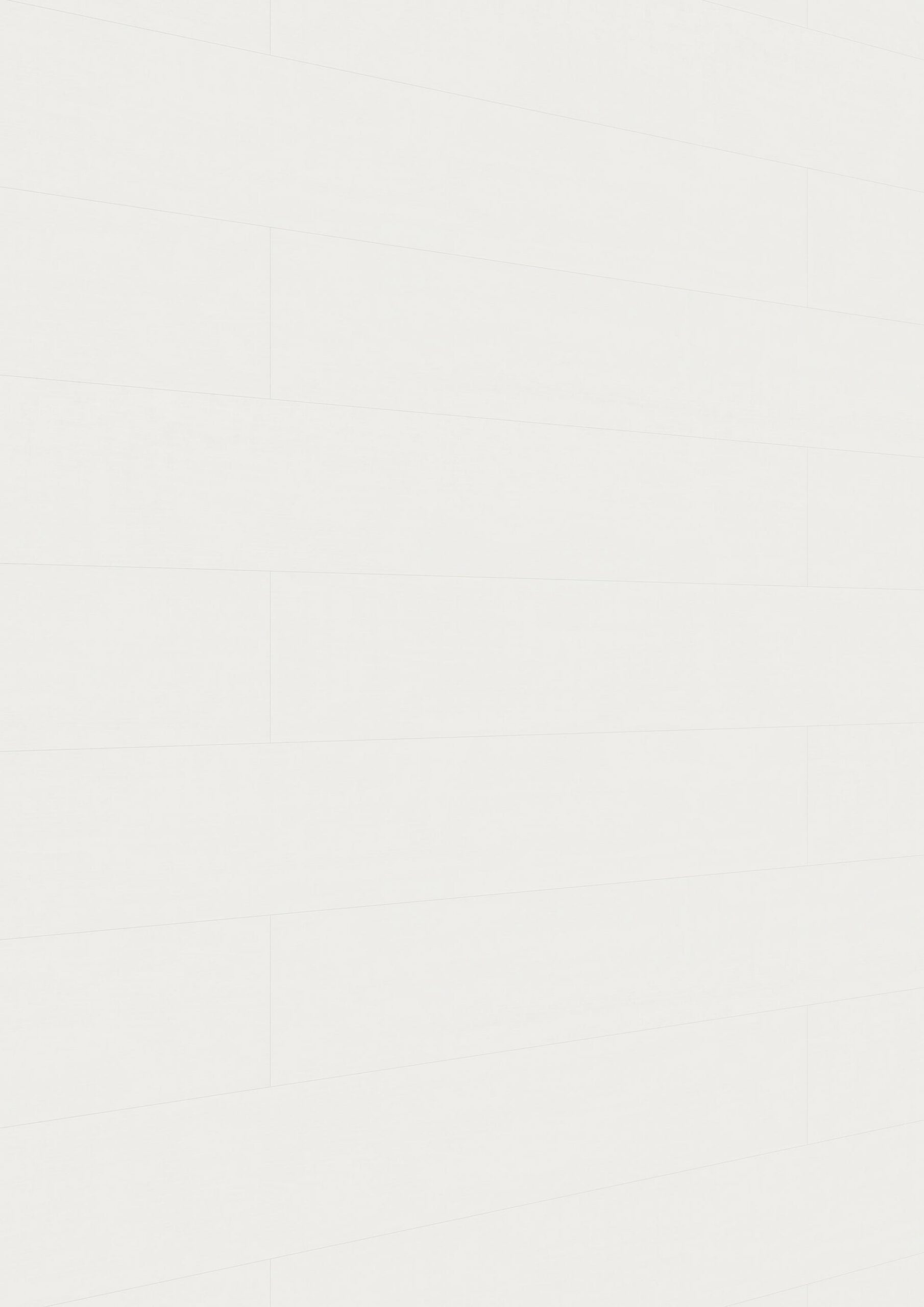 Paneles decorativos MeisterPanels. bocado DP 250 Blanco clásico 00387