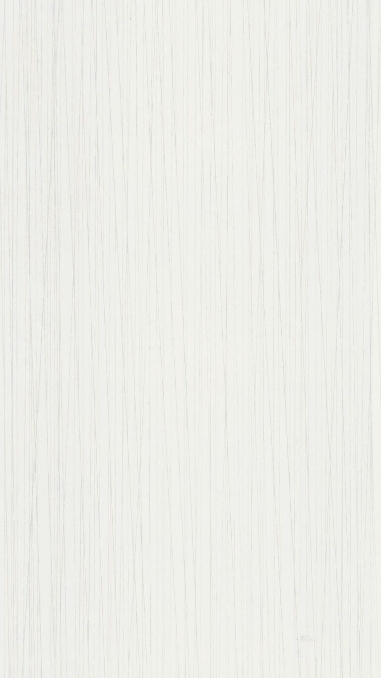Paneles decorativos MeisterPanels. bocado DP 250 Estriado plata 04021