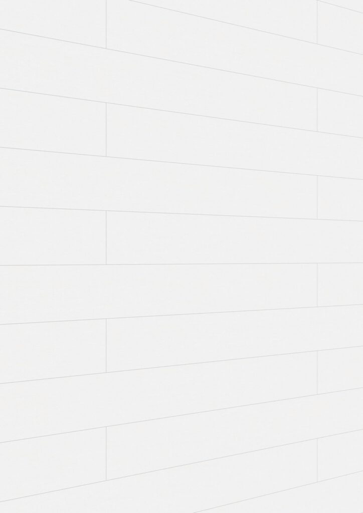 Paneles decorativos MeisterPanels. bocado DP 200 Fineline blanco 04029