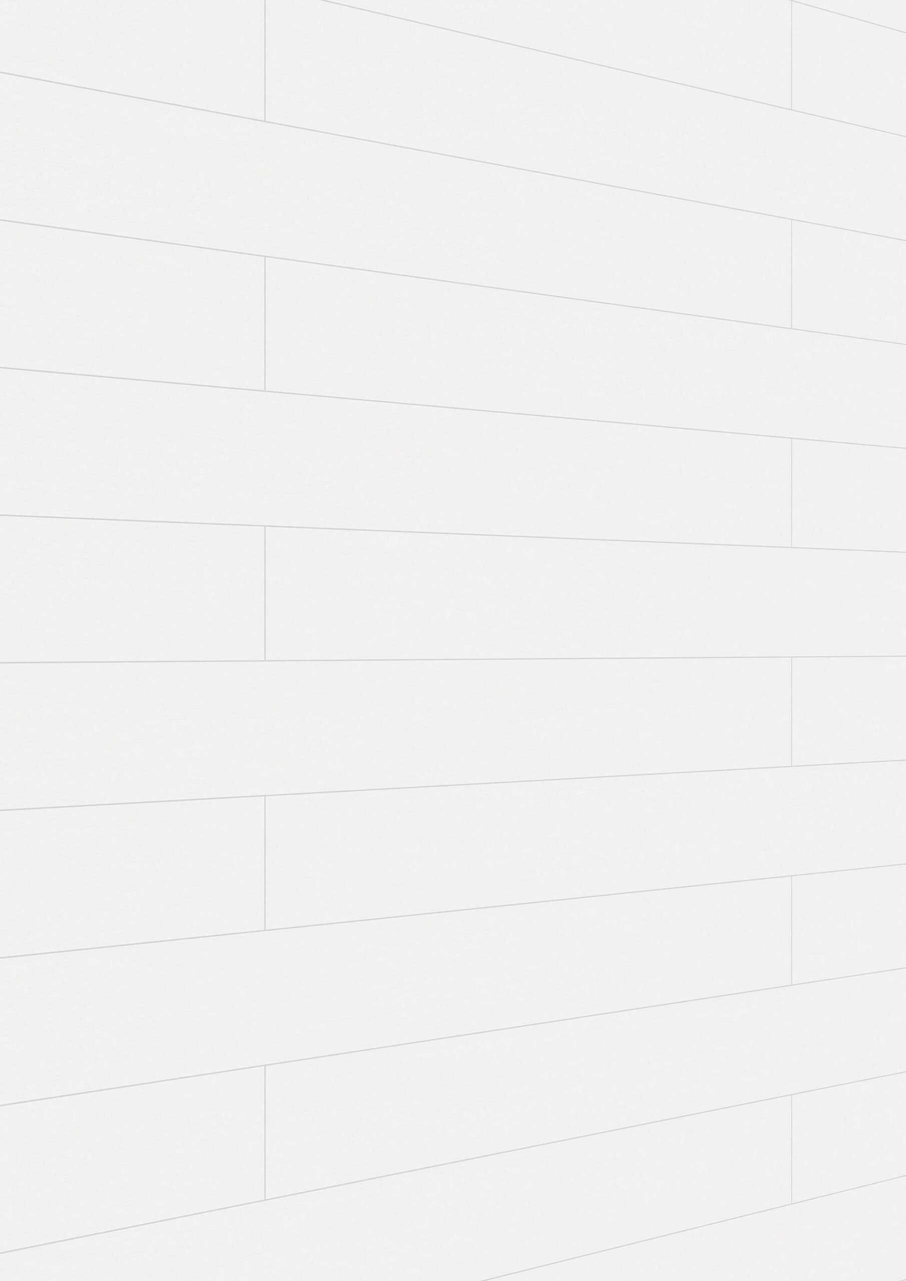 Paneles decorativos MeisterPanels. bocado DP 200 Fineline blanco 04029