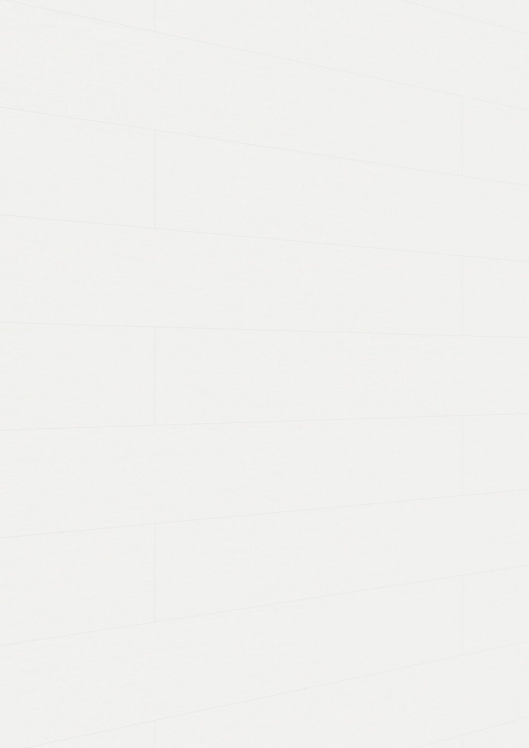 Paneles decorativos MeisterPanels. bocado DP 250 Fineline blanco 04029