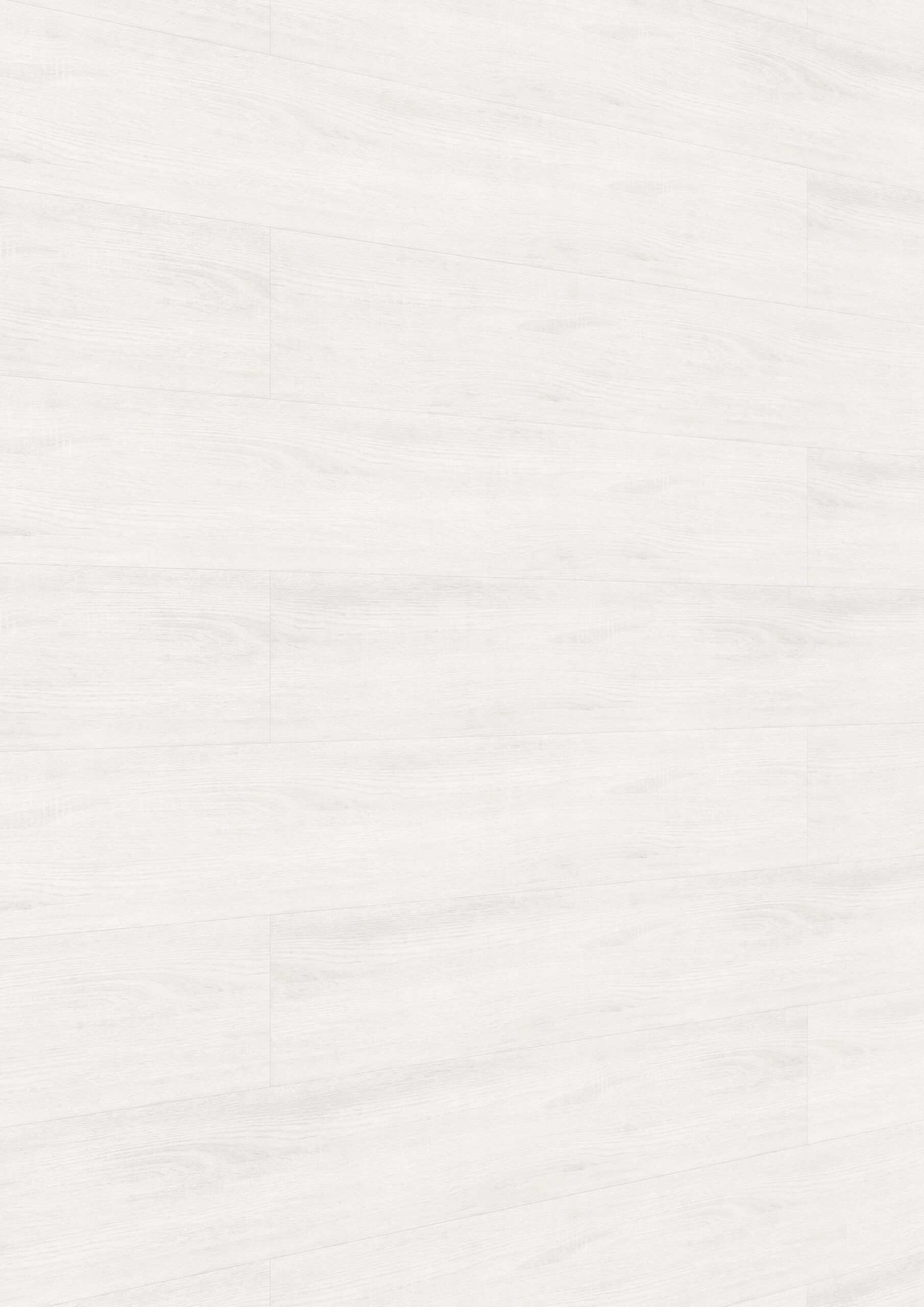Paneles decorativos MeisterPanels. bocado DP 250 Roble blanco cubriente 04069