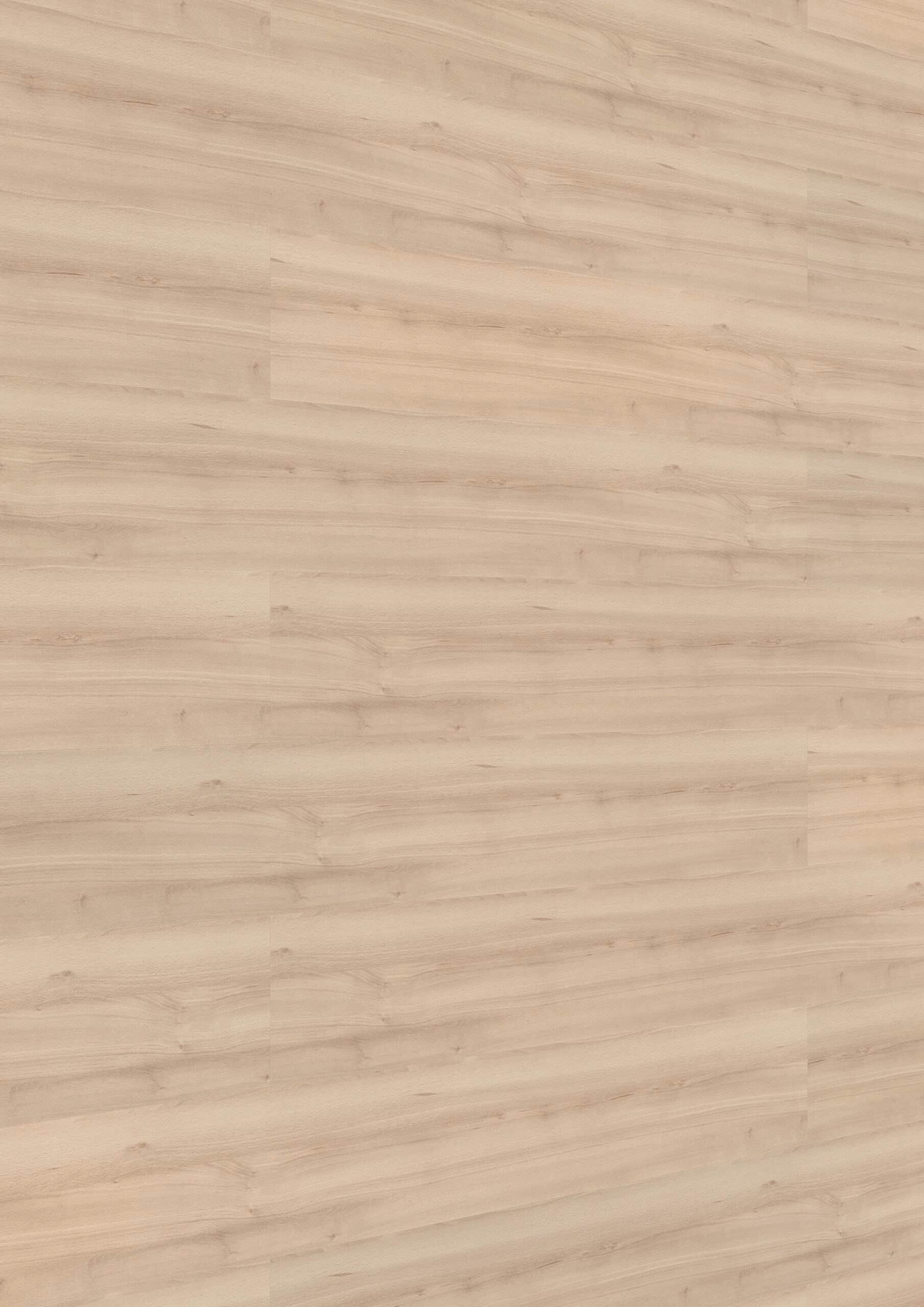 Paneles decorativos MeisterPanels. bocado DP 250 Haya pura 04094