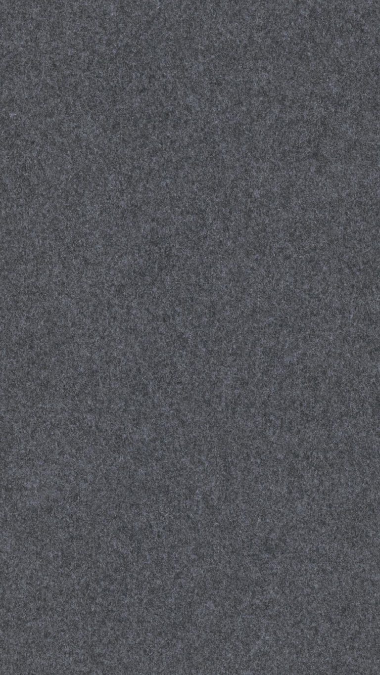 Paneles de sistema MeisterPanels. craft SP 700 Fieltro gis apizarrado 04504