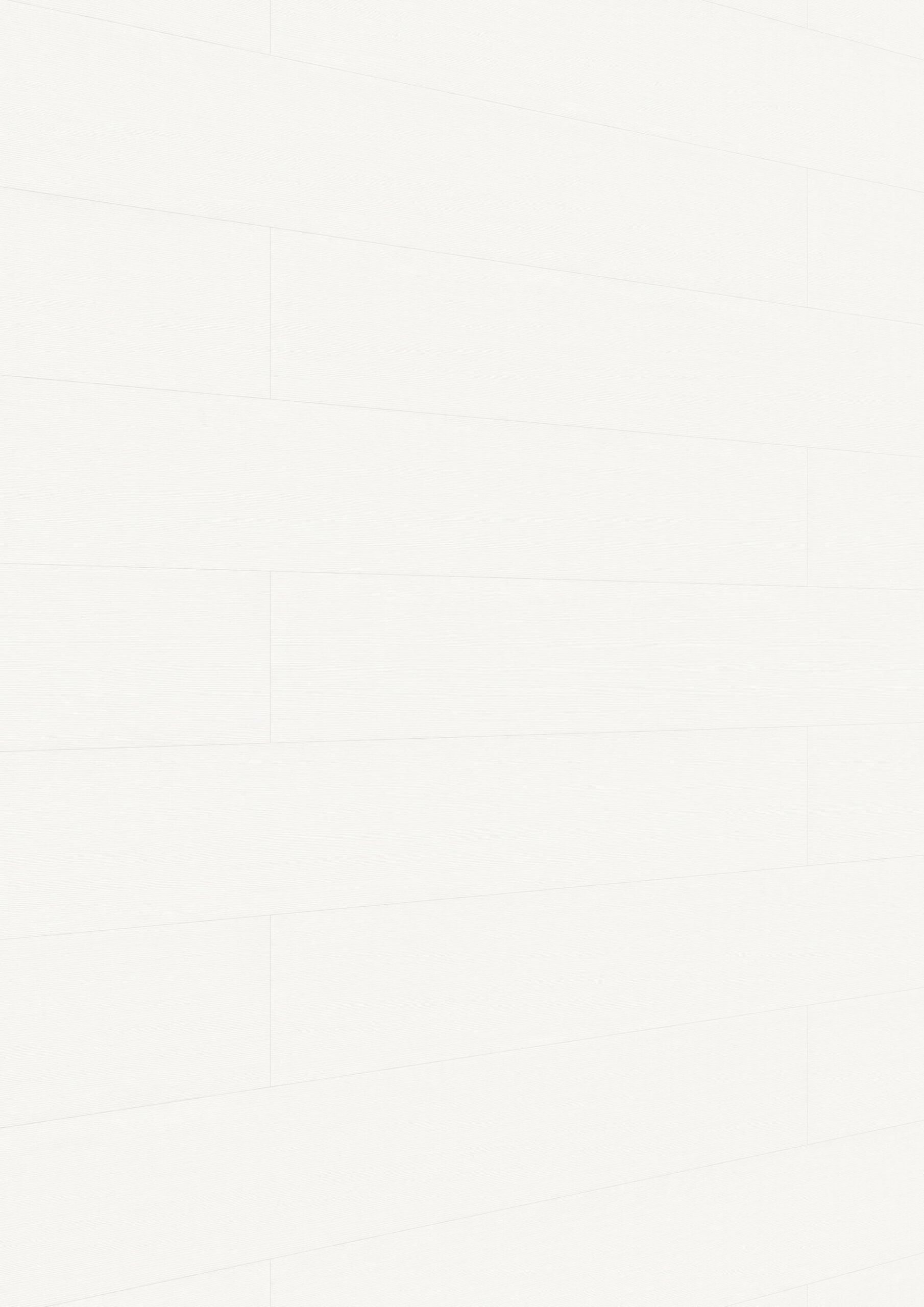 Paneles decorativos MeisterPanels. terra DP 250 Warm fineline 20095