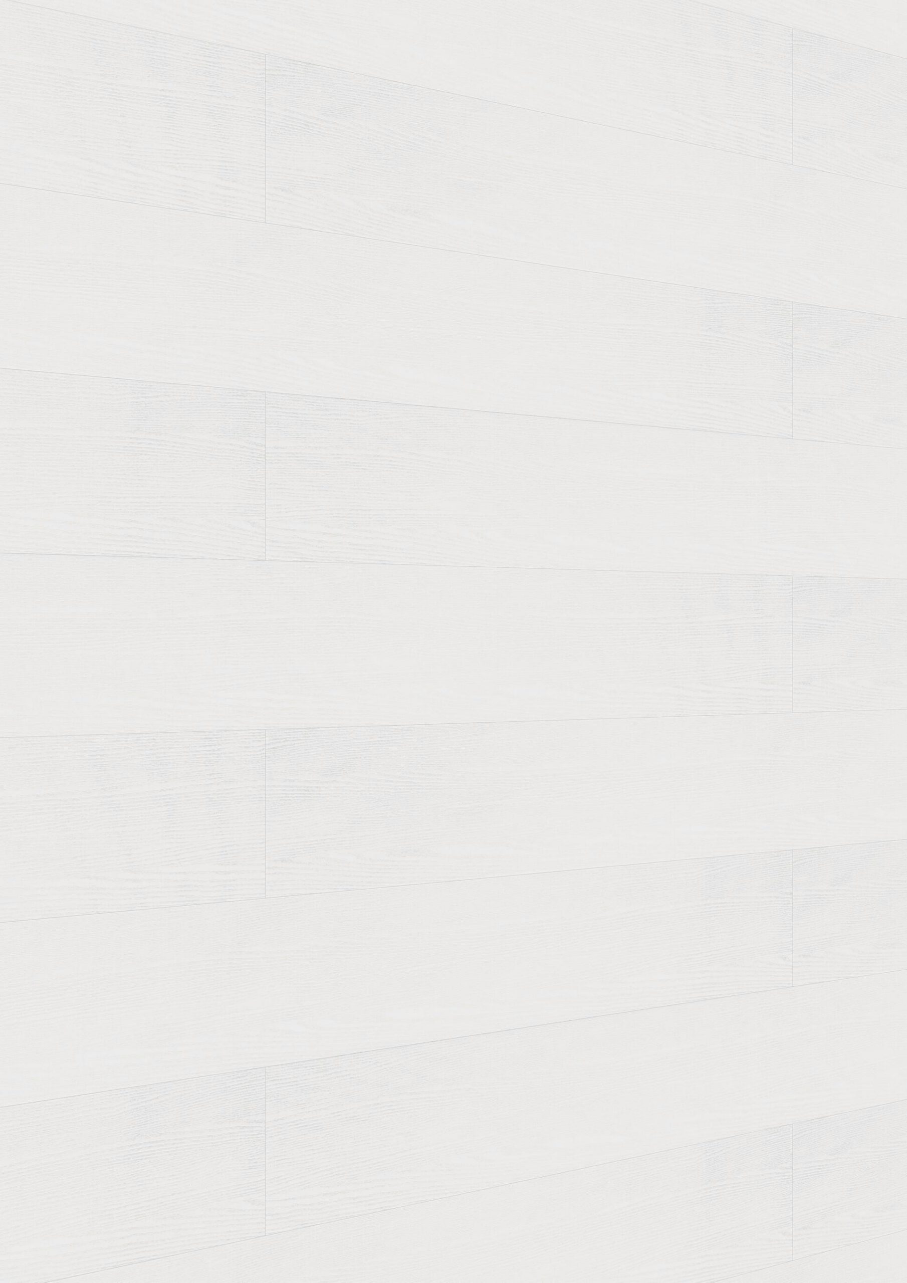 Paneles decorativos MeisterPanels. terra DP 250 White ash 20098