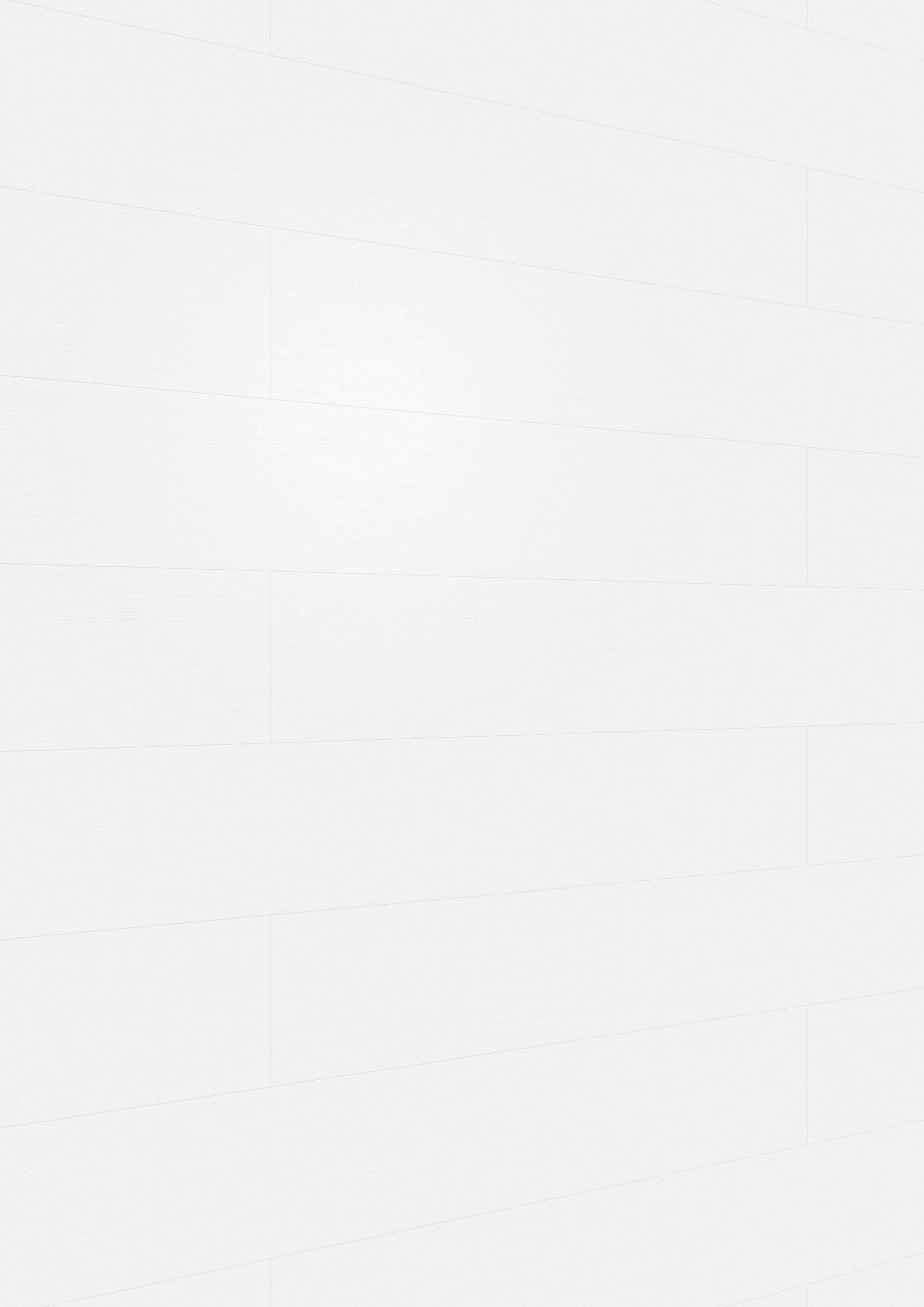 Paneles decorativos MeisterPanels. terra DP 250 Vintage white 20099