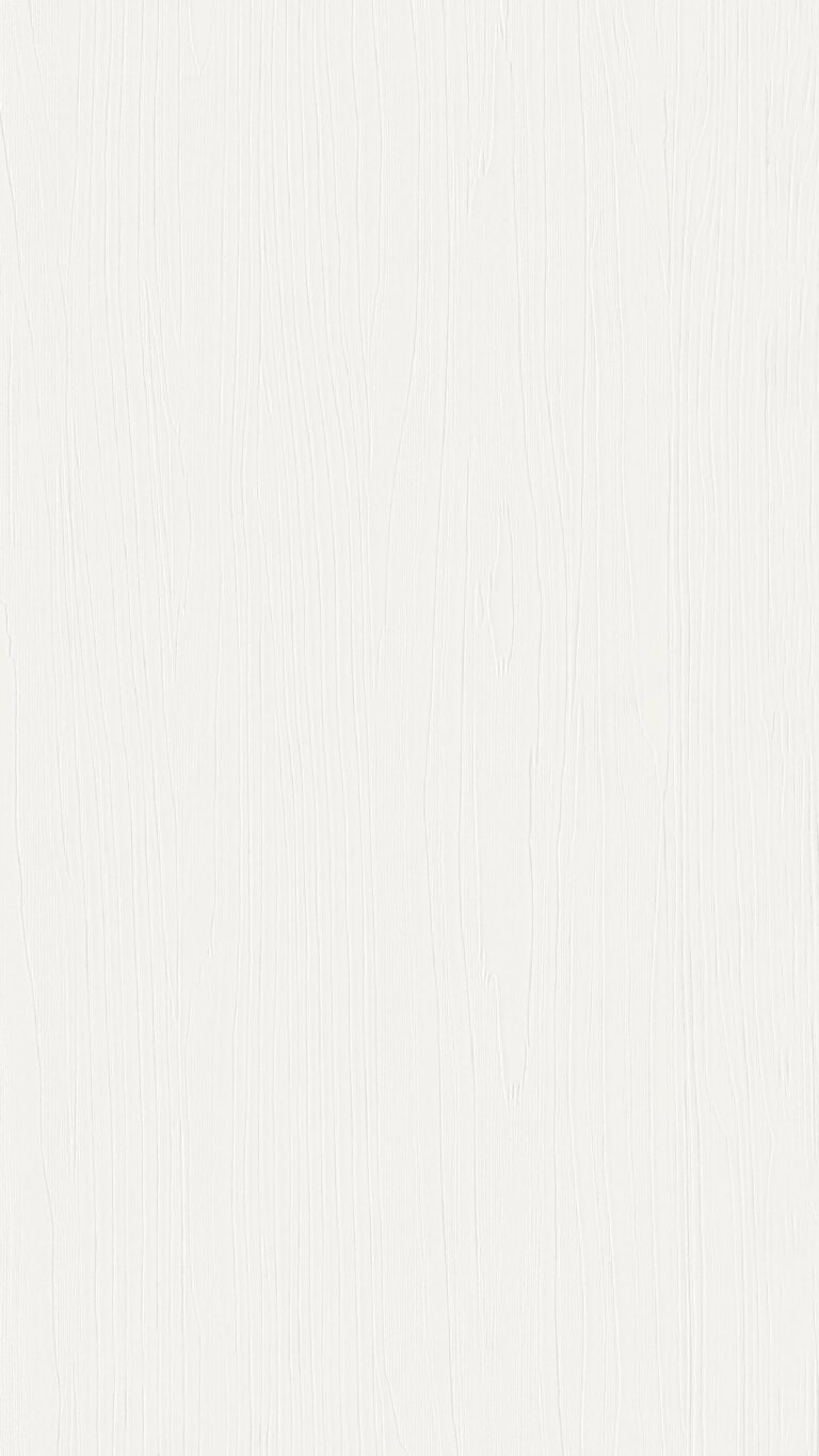 Paneles decorativos MeisterPanels. terra DP 250 Snow white wood 20102