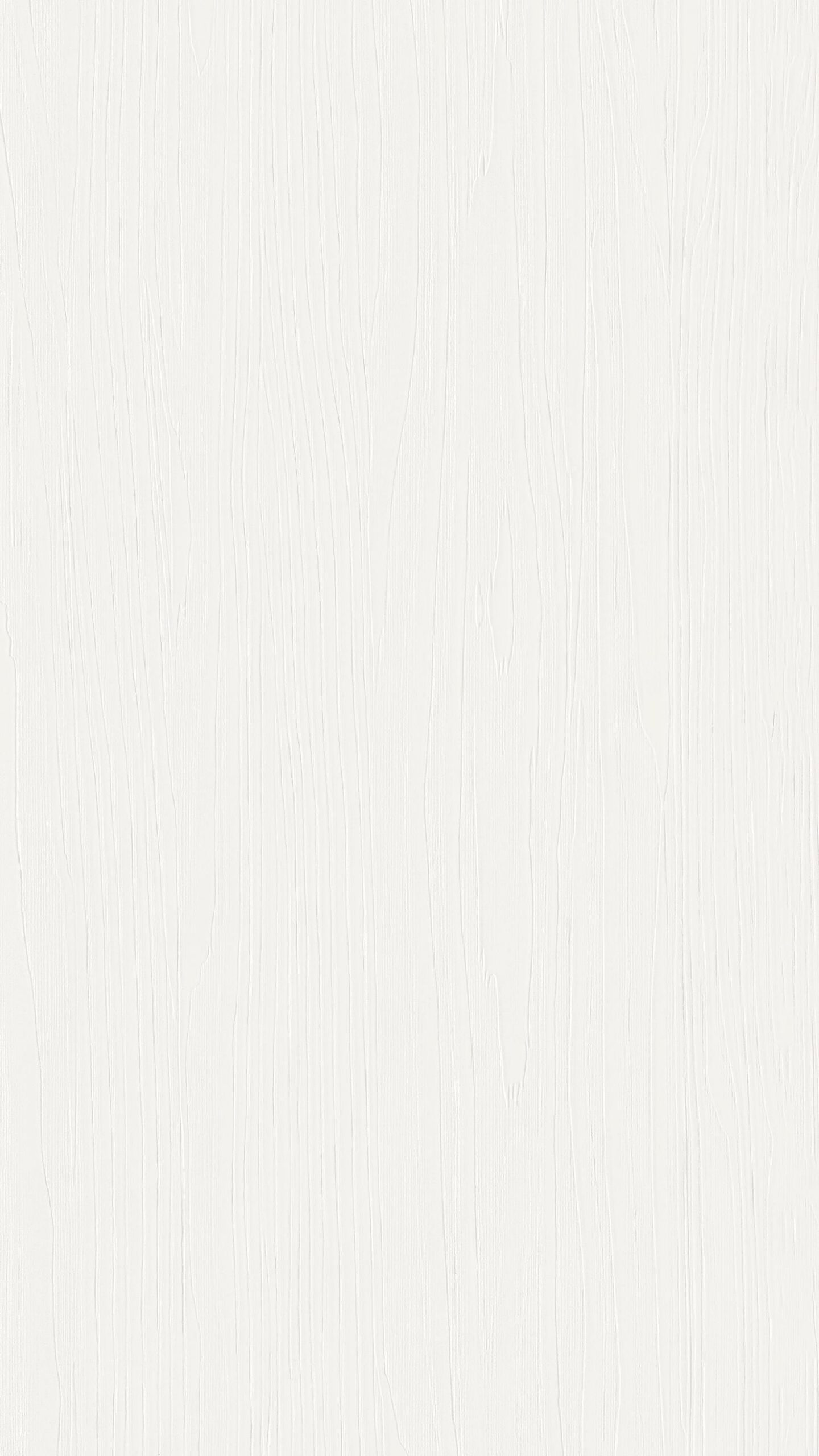 Paneles decorativos MeisterPanels. terra DP 250 Snow white wood 20102 - Imagen 3