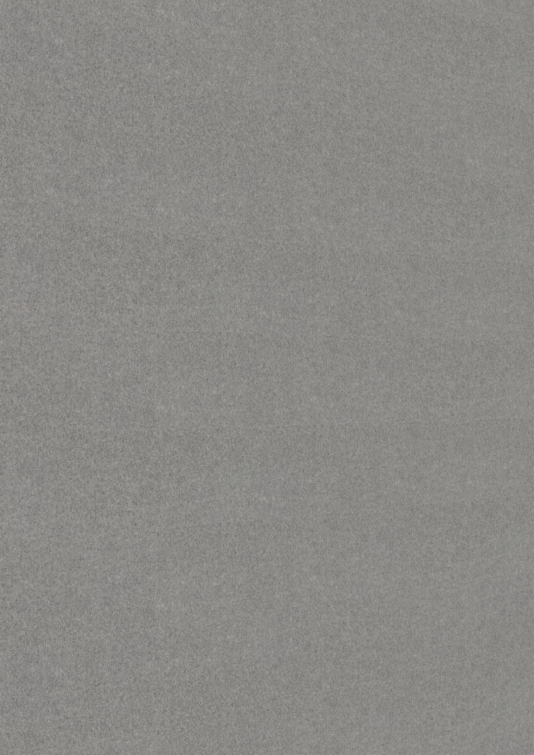 Paneles decorativos MeisterPanels. bocado DP 250 Vellón gris 20105