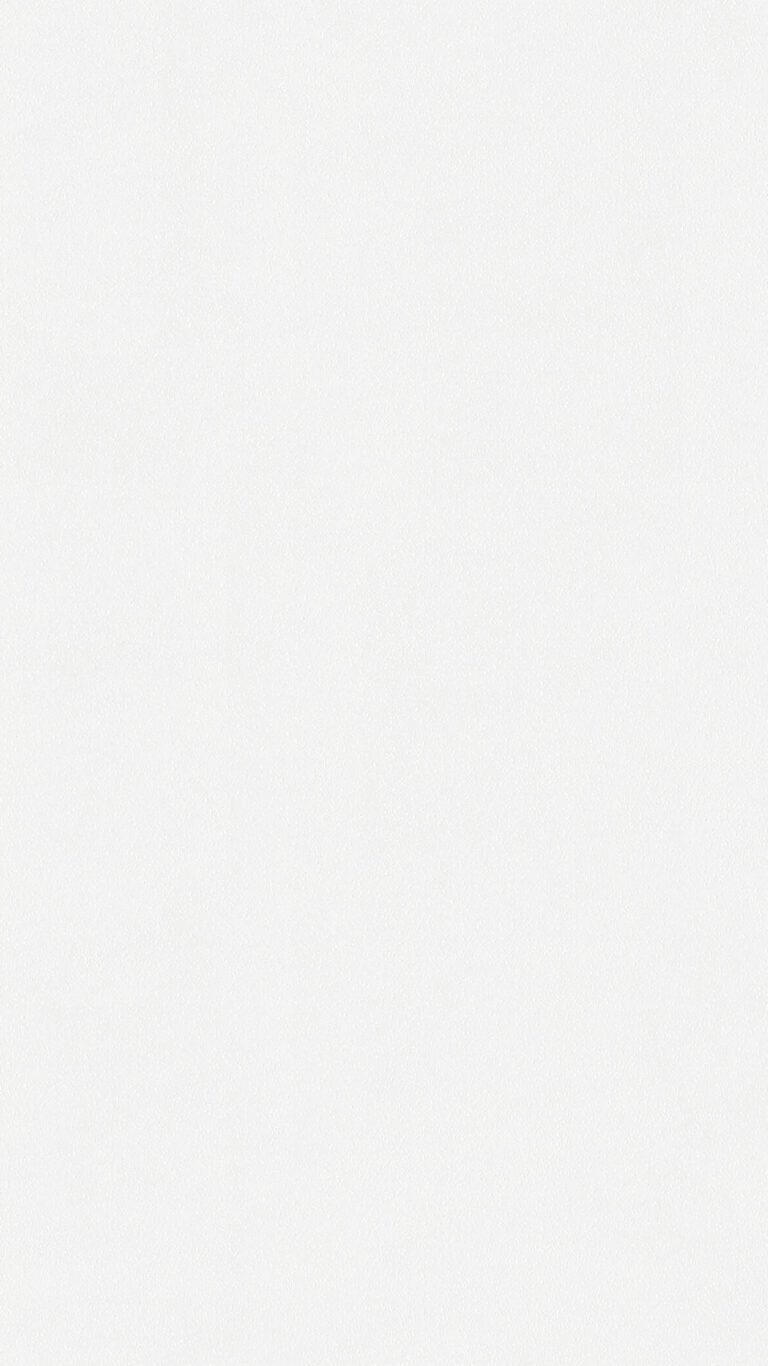 Paneles decorativos MeisterPanels. bocado DP 200 White wall 20126