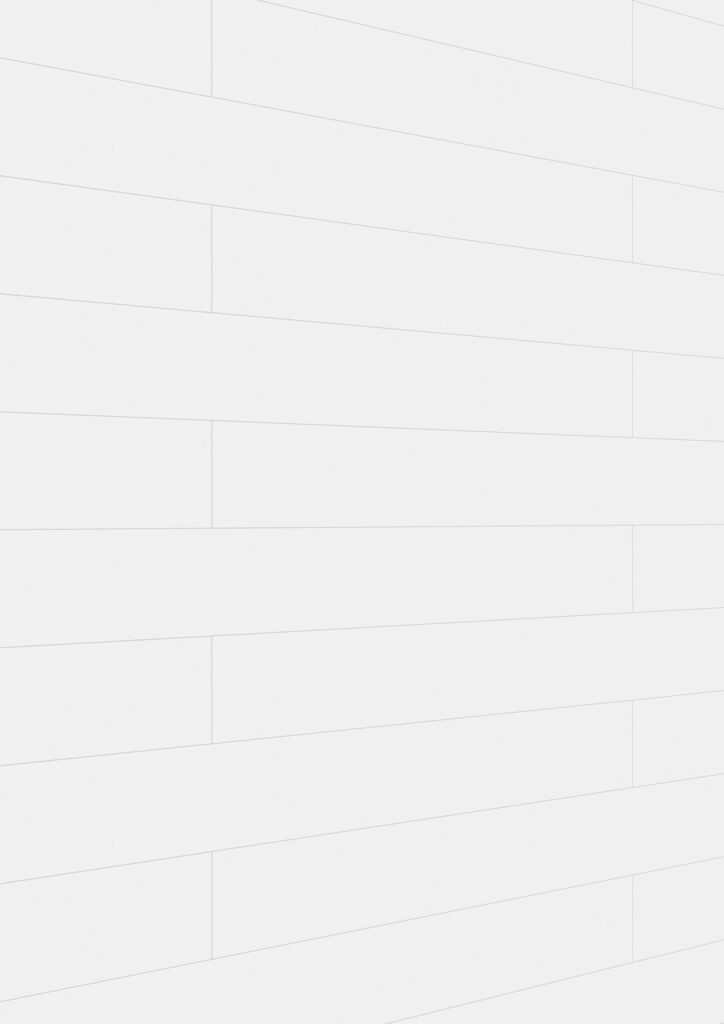 Paneles decorativos MeisterPanels. bocado DP 200 White wall 20126