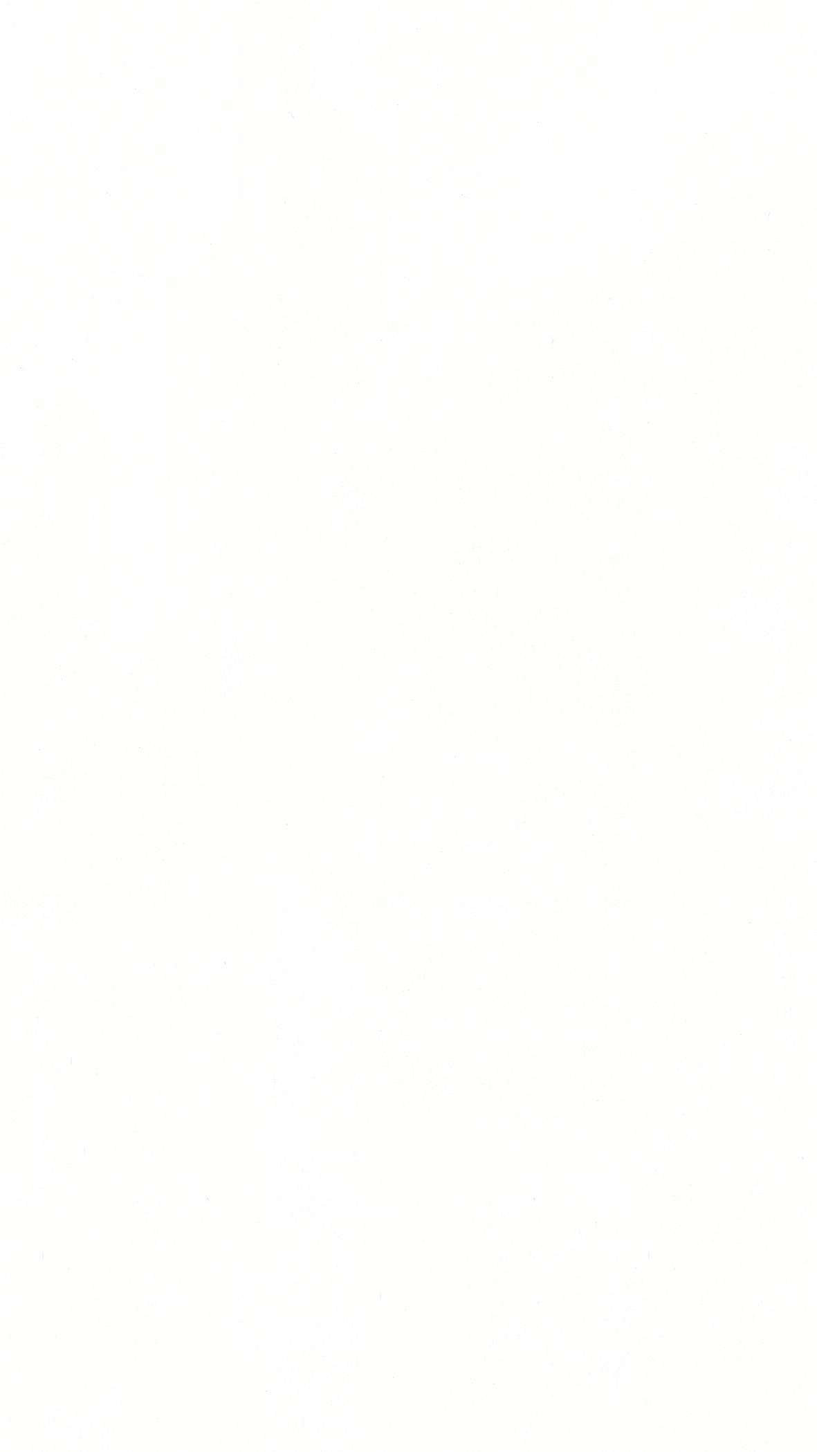 Paneles decorativos MeisterPanels. tertio DP 200 Swedish white 20128 - Imagen 3