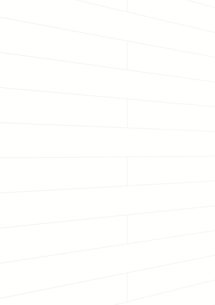 Paneles decorativos MeisterPanels. tertio DP 200 Swedish white 20128