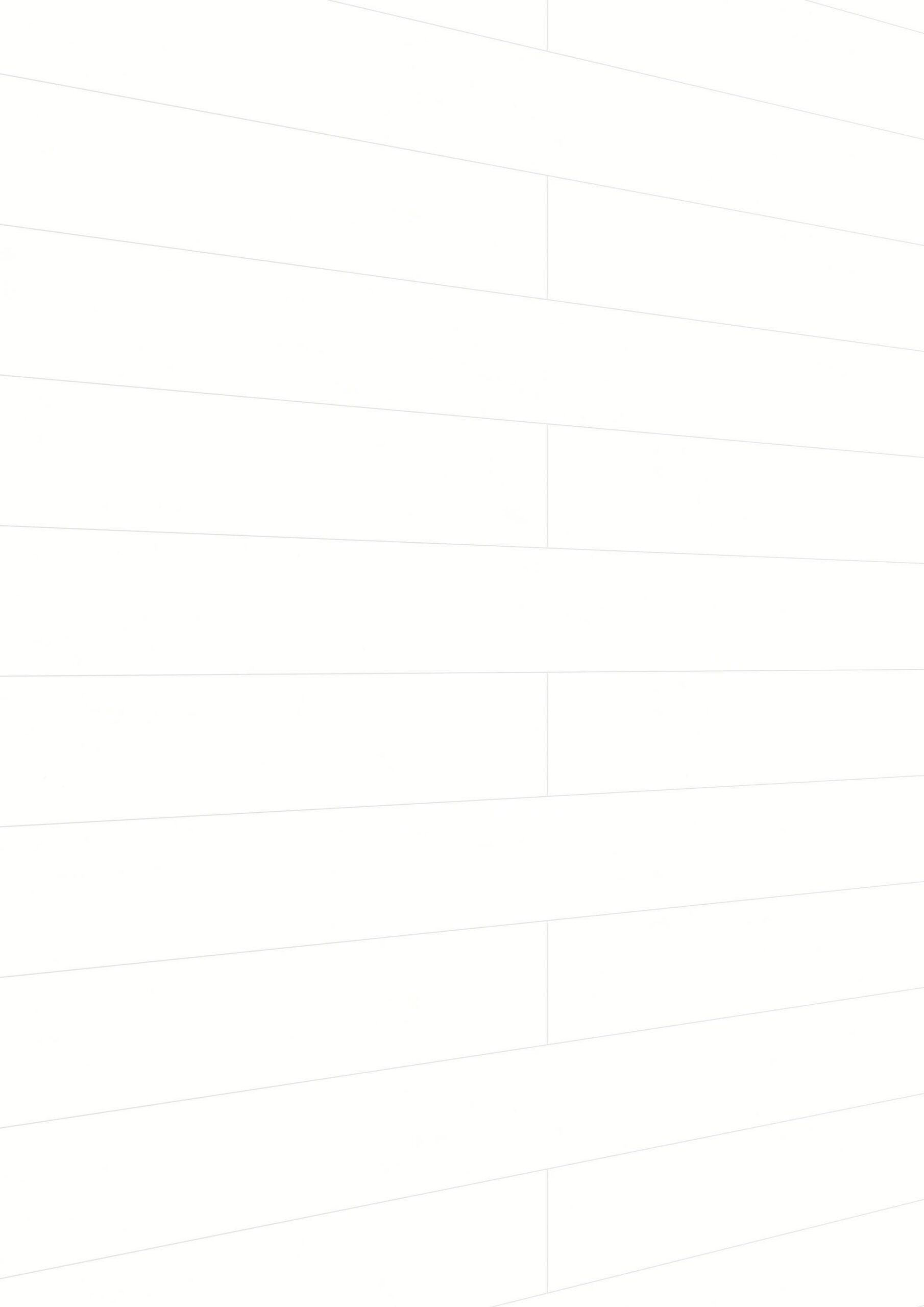 Paneles decorativos MeisterPanels. tertio DP 200 Swedish white 20128