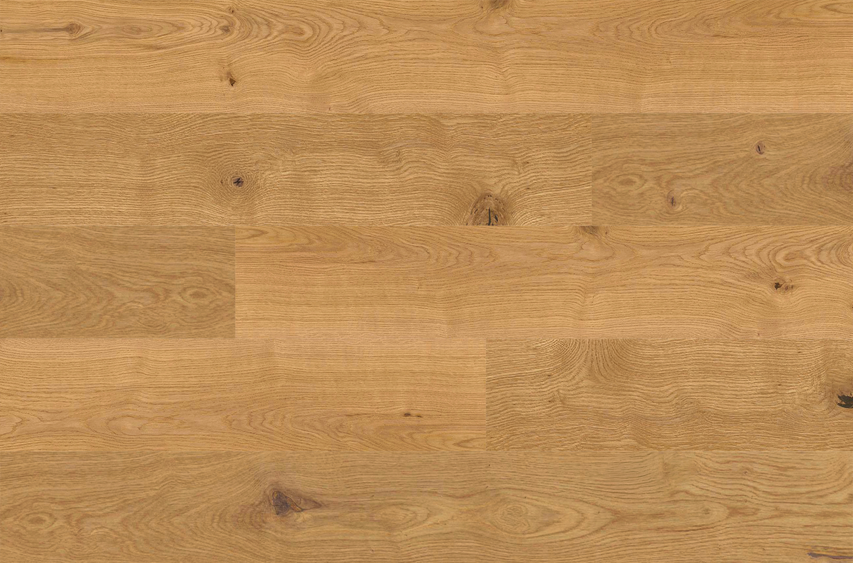 Novuscover Domus Oak Moderato