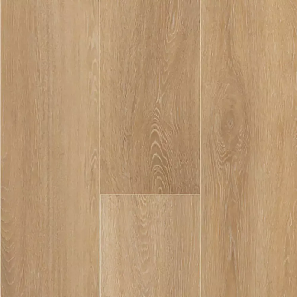 Pluscover Vycover Quaterra Harlem