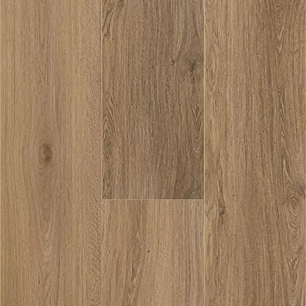Pluscover Vycover Quaterra