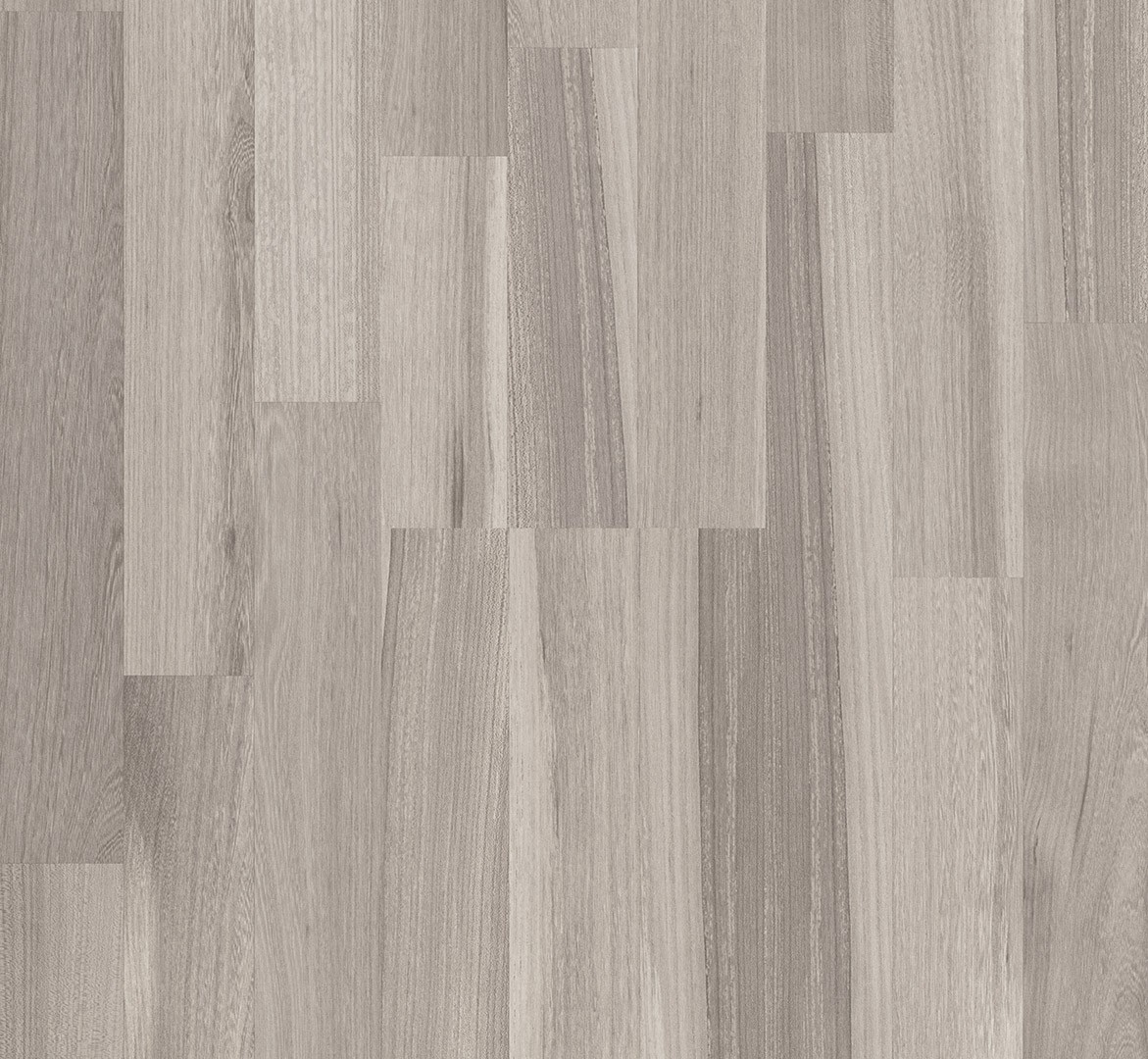 Parador Acacia gris - Imagen 3